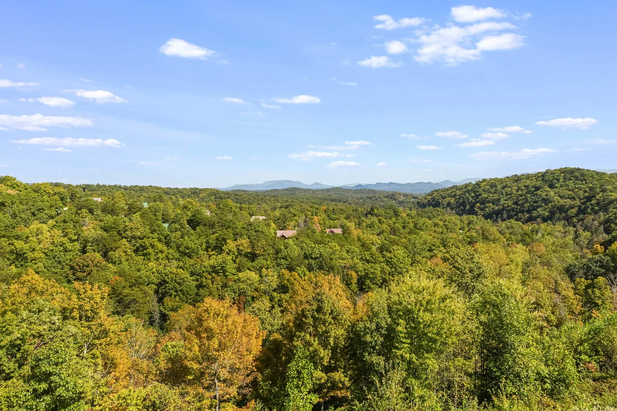 Wander Sevierville Timber