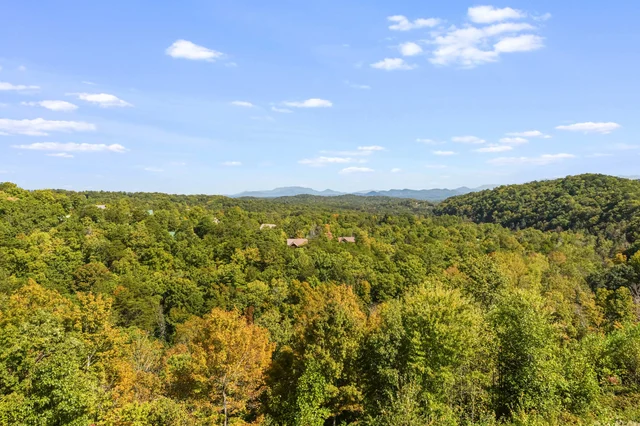 Wander Sevierville Timber #4