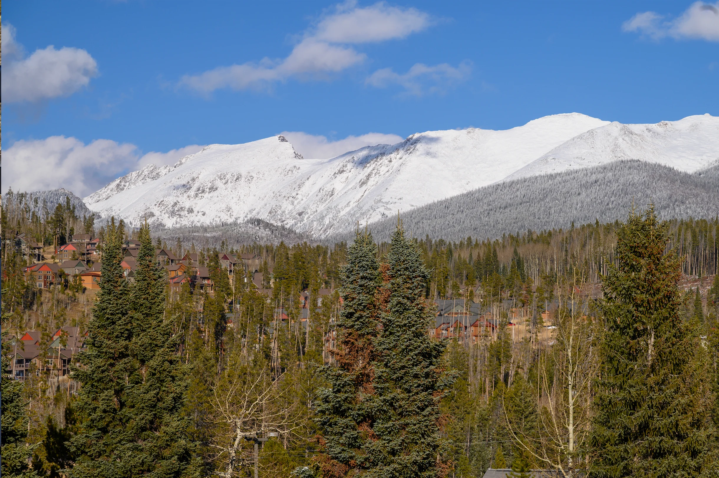 Wander Winter Park #26