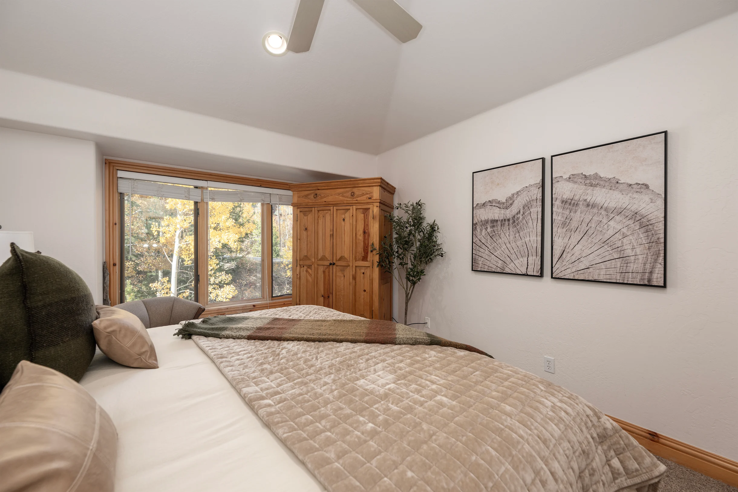 Timber Lake 341 #29