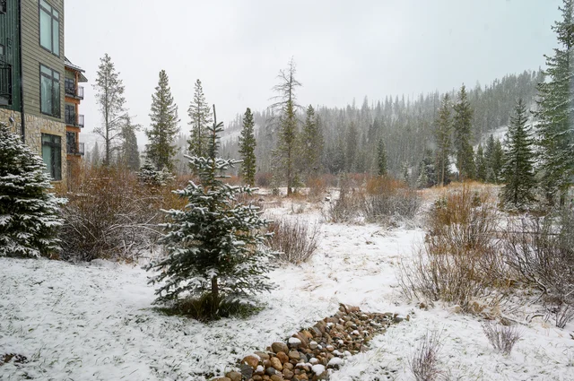 Wander Winter Park Timber #5