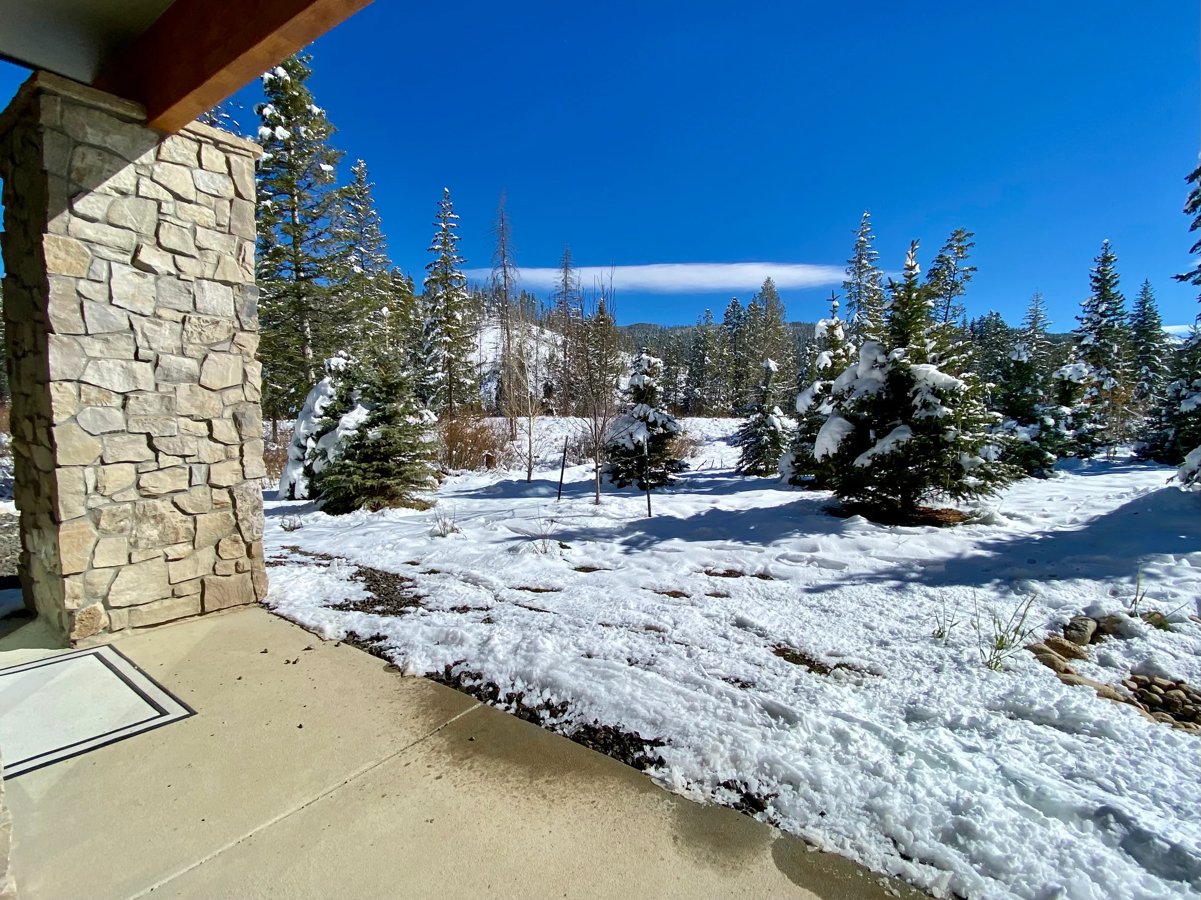Timber Fox Building B Unit 2102 #21