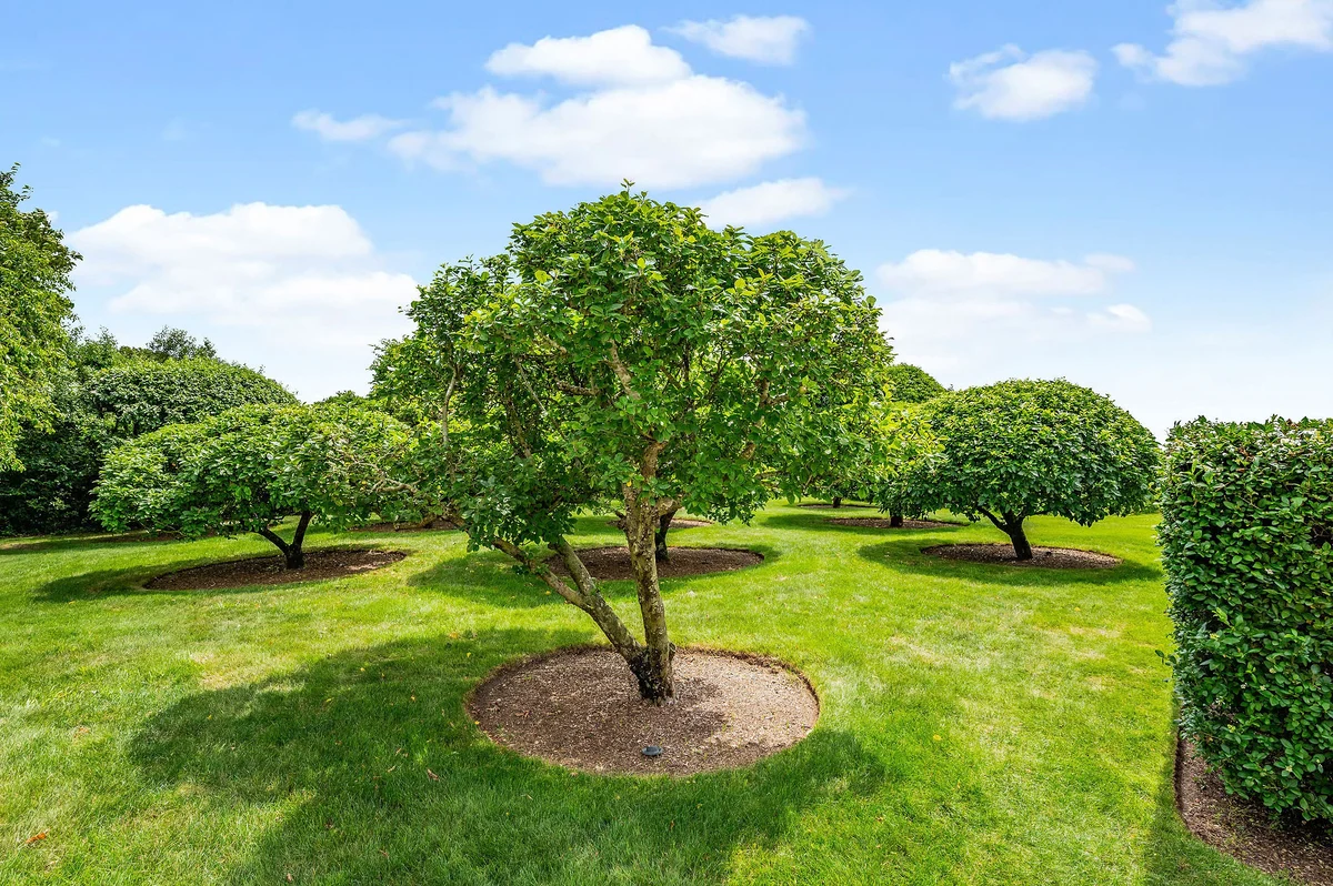 Wander Cape Cod Estate #71