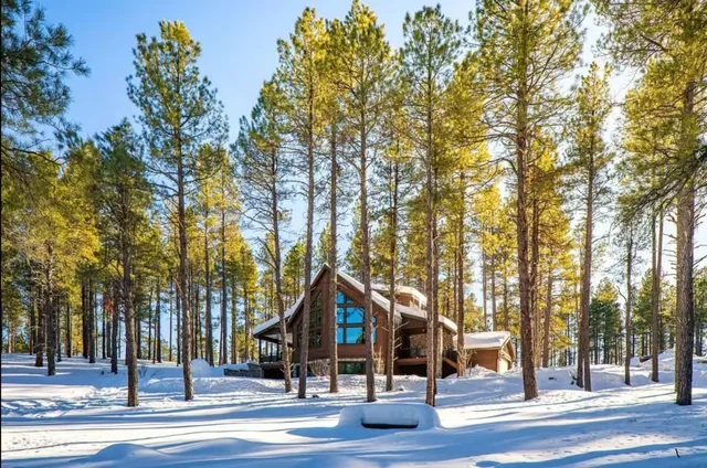 Wander Flagstaff Pines #4