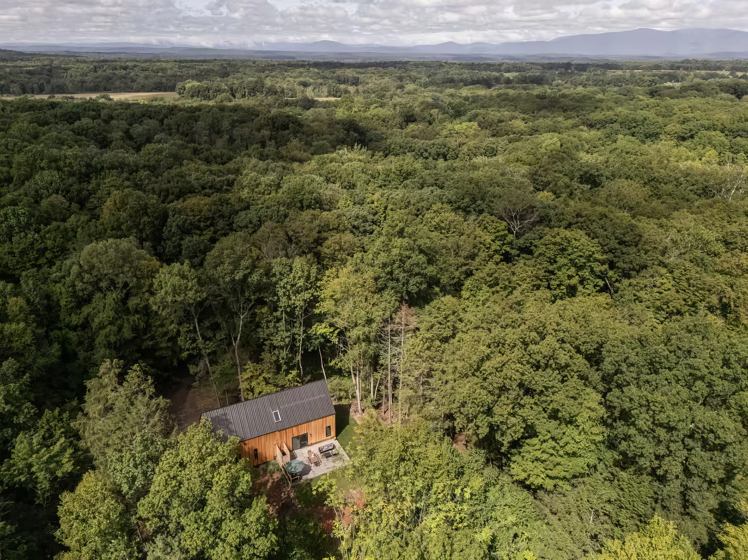 Wander Rhinebeck Woods #2