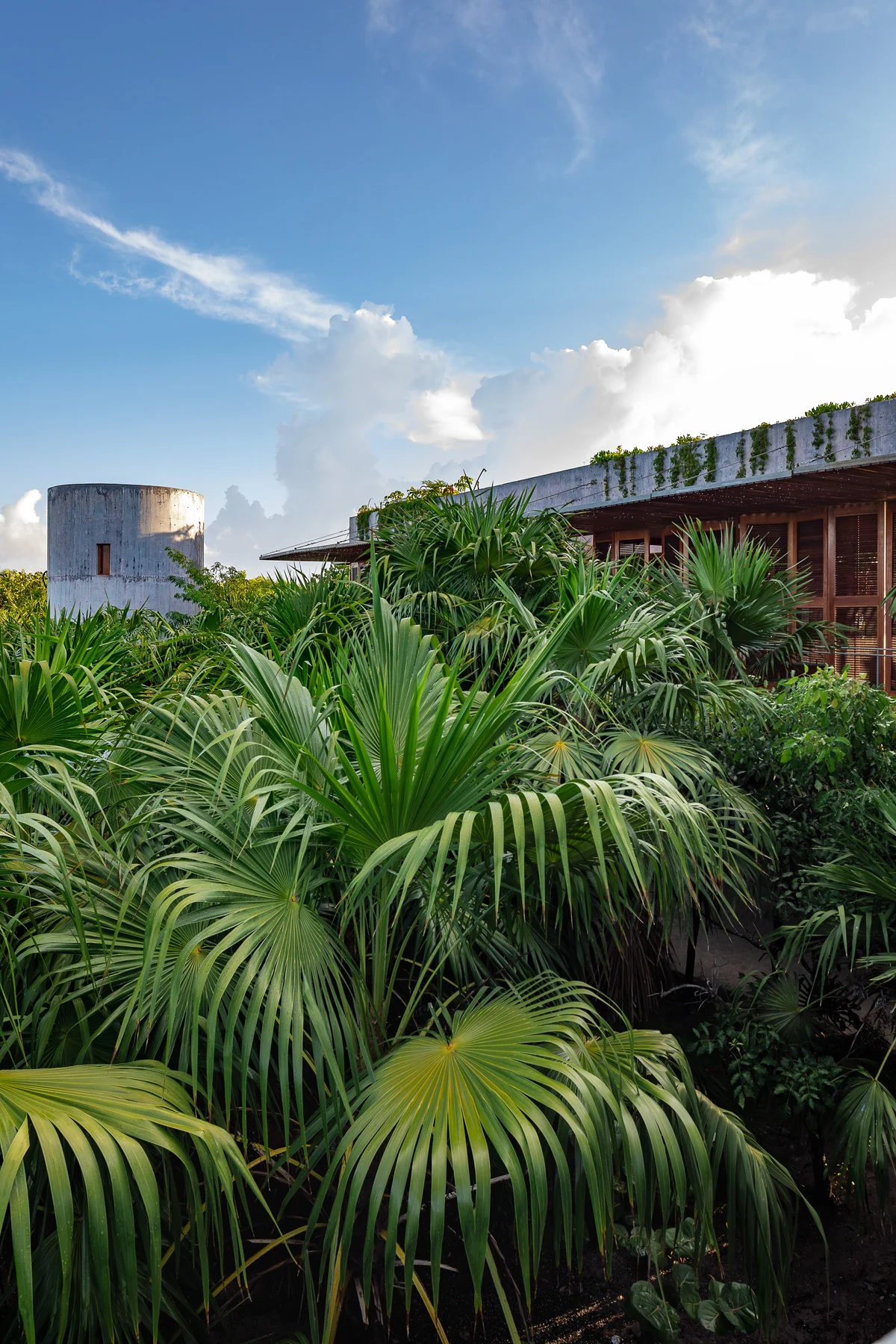 Wander Tulum Panorama #70