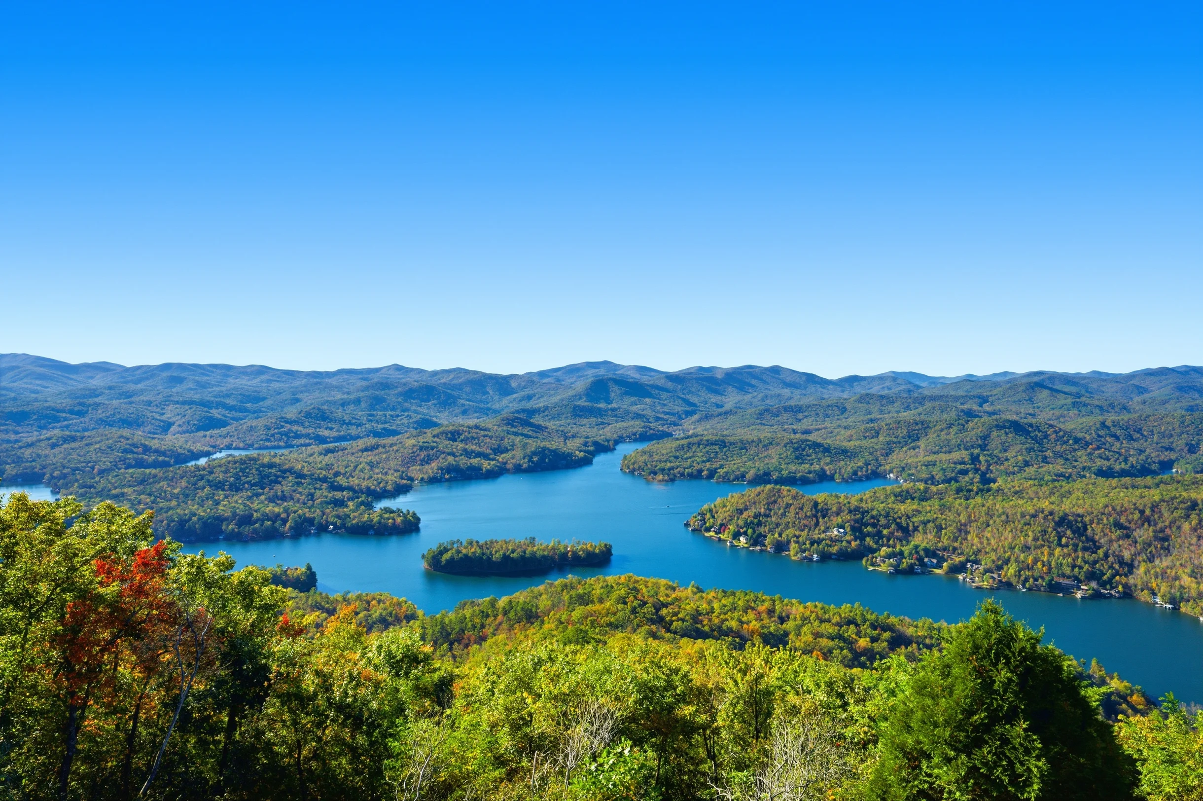 Wander Lake Burton #97