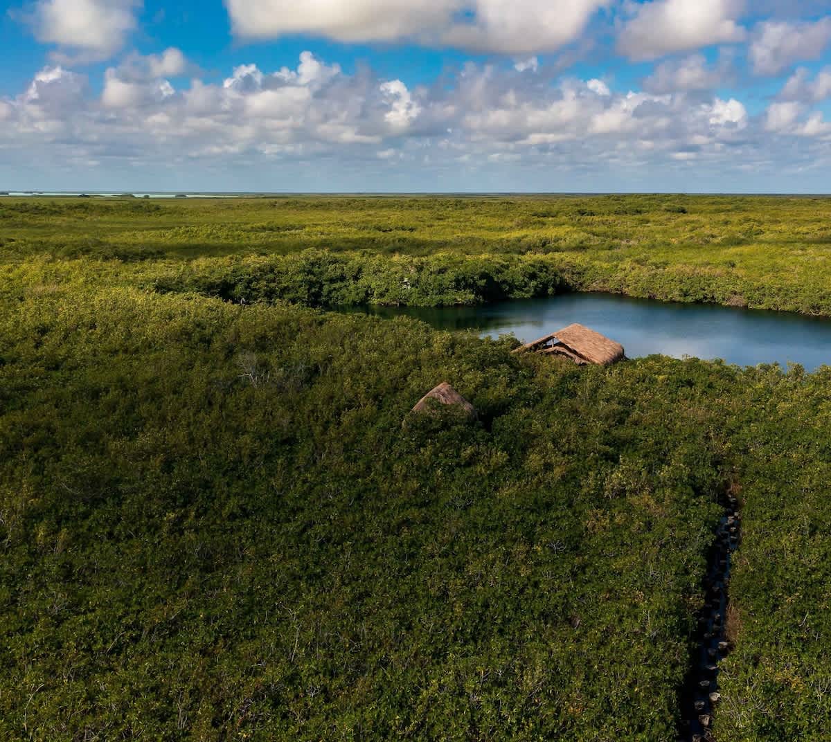 Wander Tulum Reserve #5