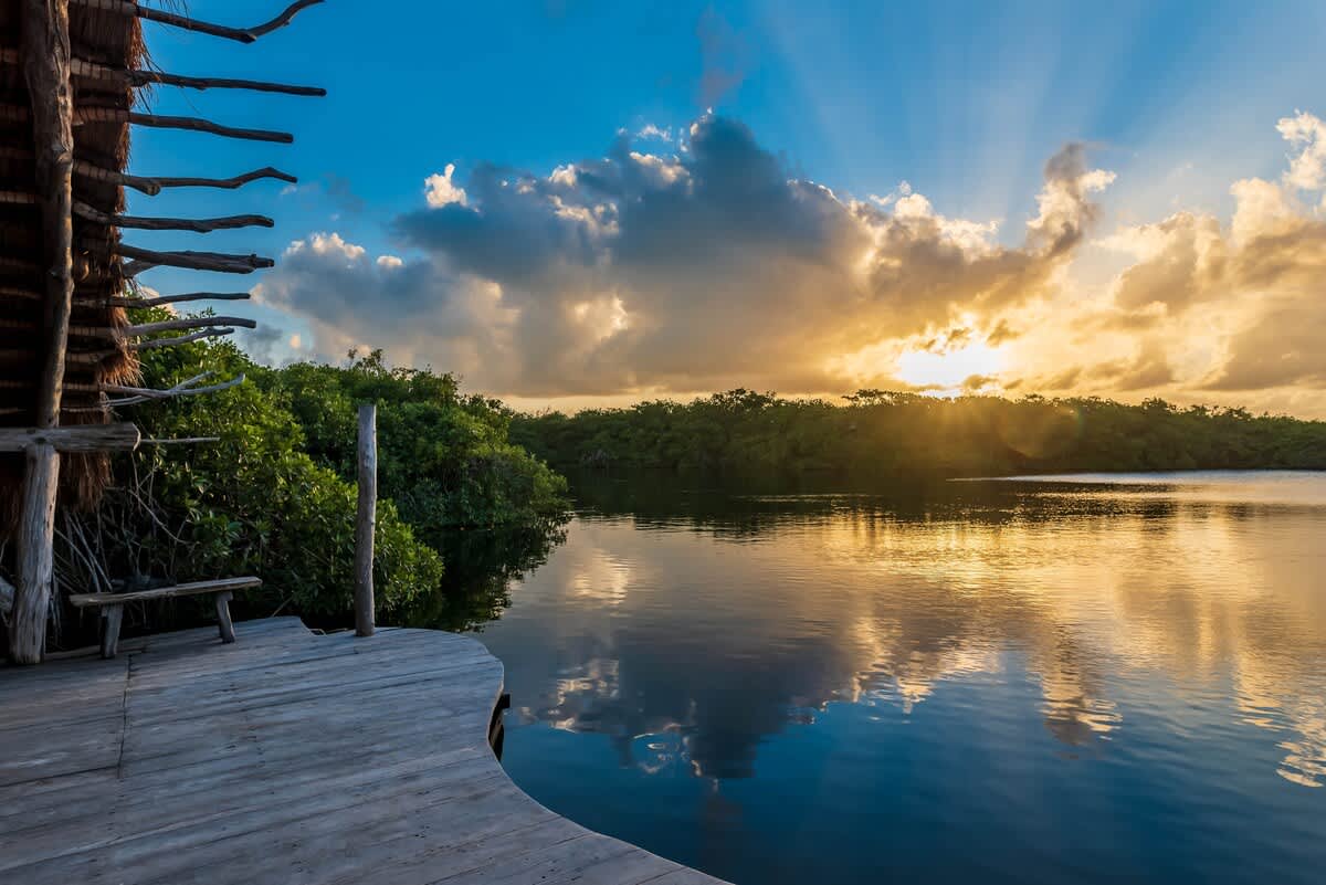 Wander Tulum Reserve #72