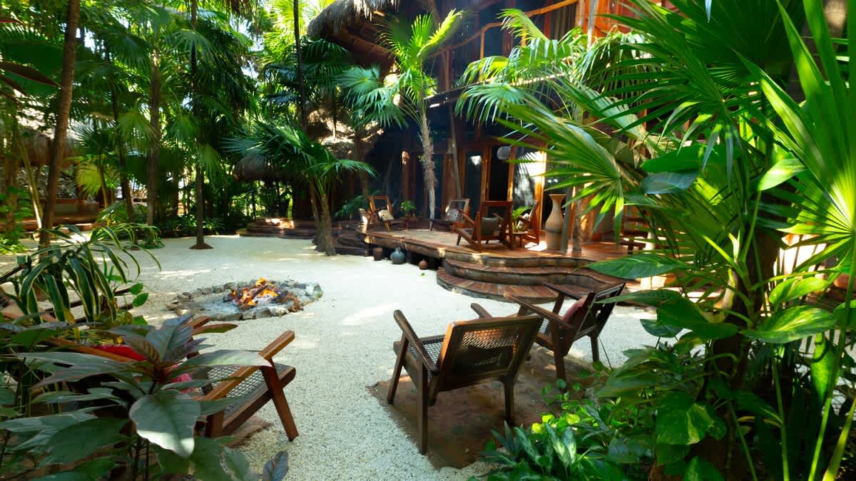 Wander Tulum Reserve #52