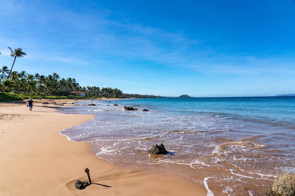 Wander Kihei Shores