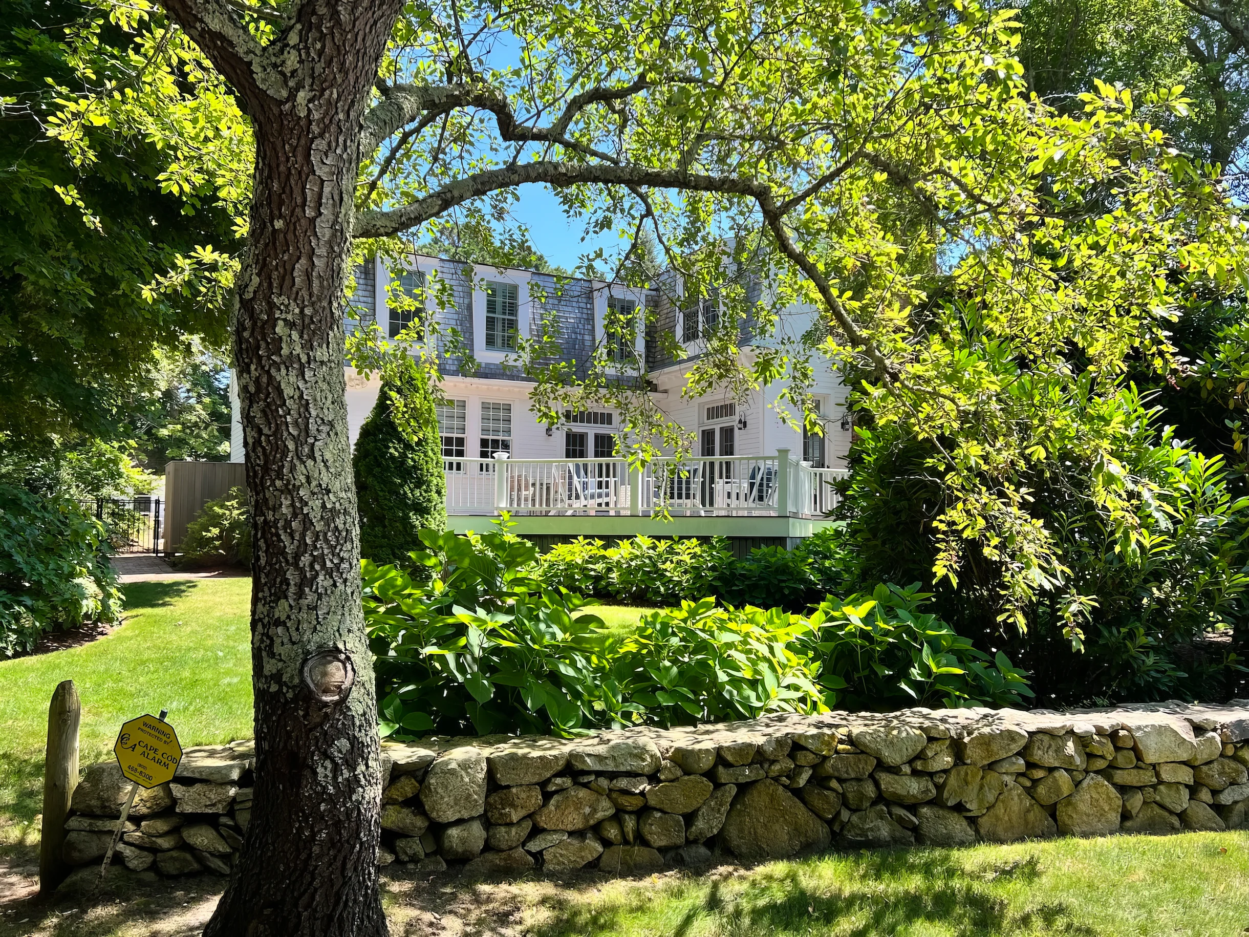 Wander Cape Cod Sanctuary #36