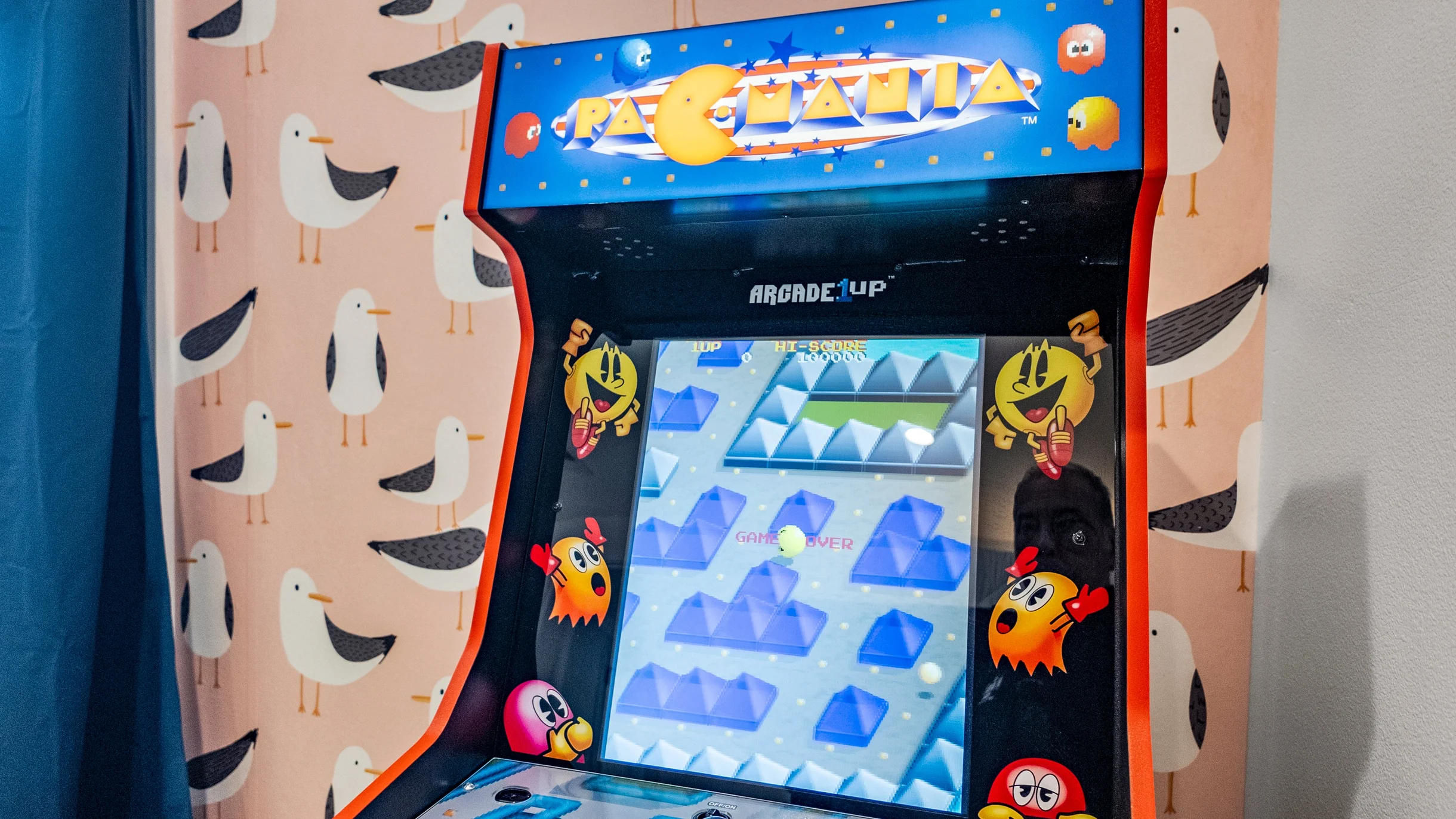 Wander Bolivar Bayfront #49