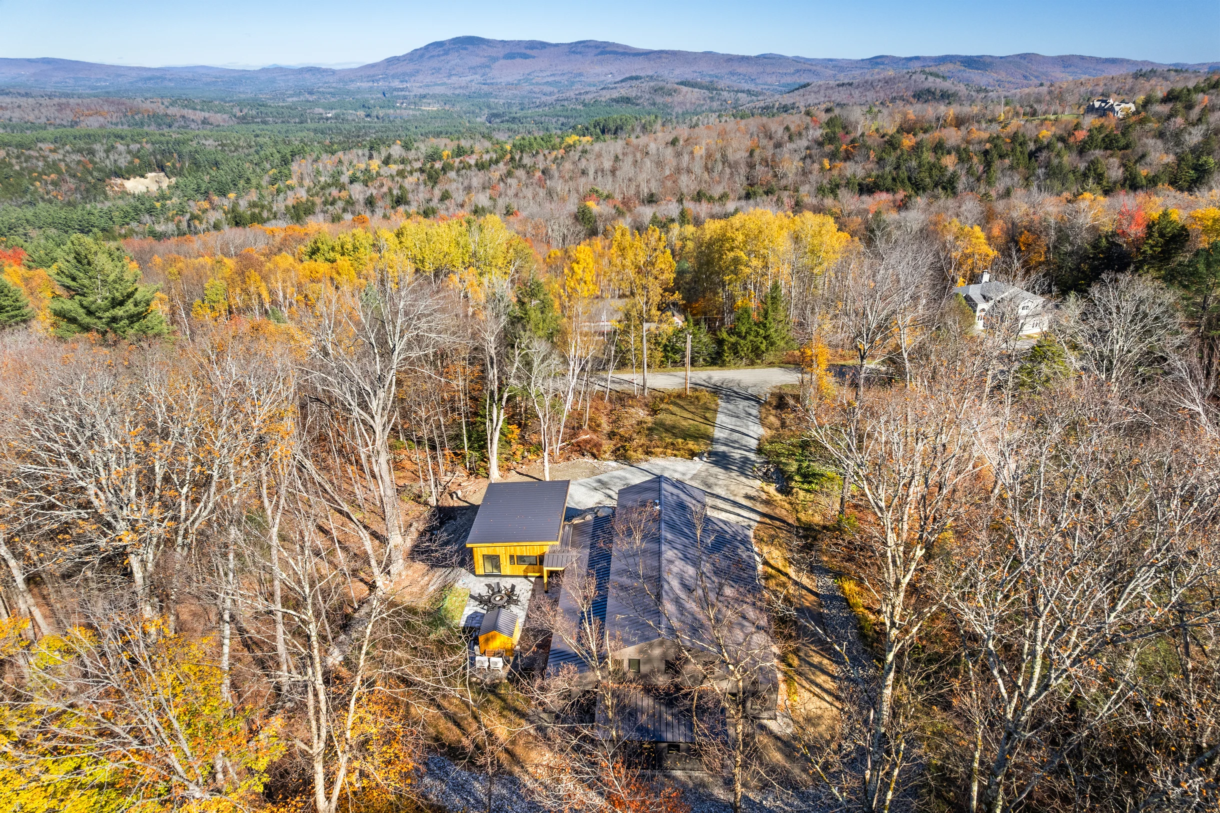 Wander Winhall Pines #47