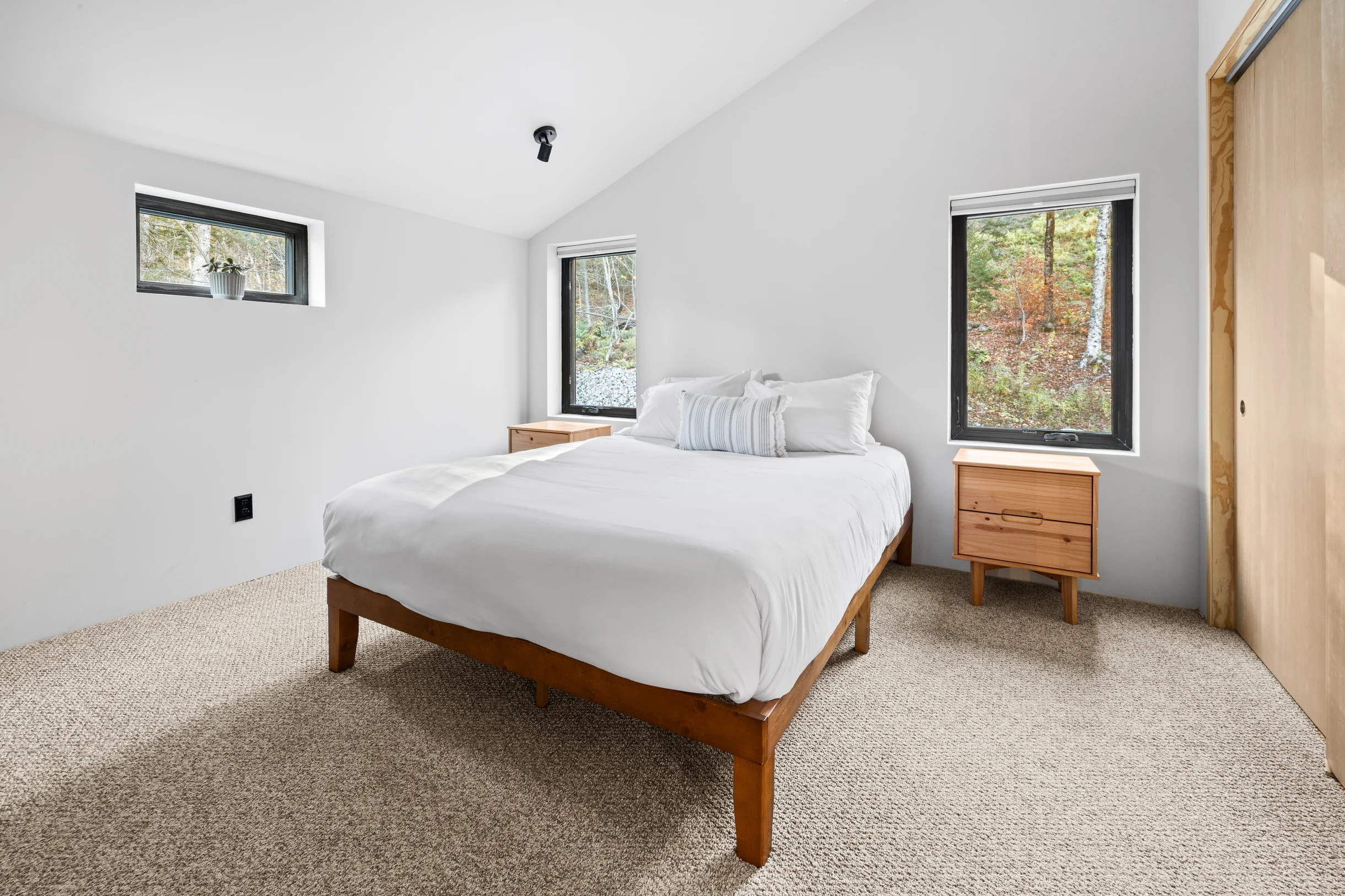 Wander Winhall Pines #20