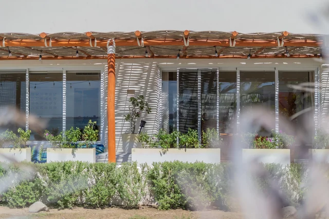 Wander Puerto Cortes #5