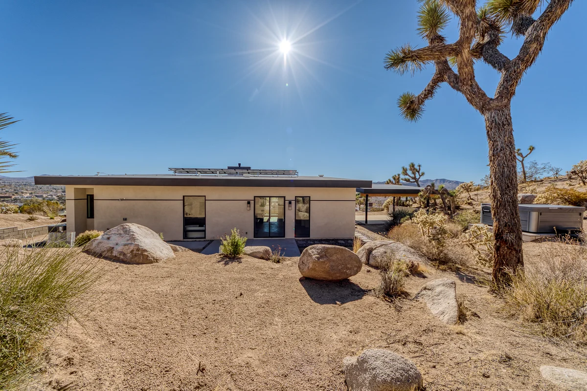 Wander Yucca Valley Desert