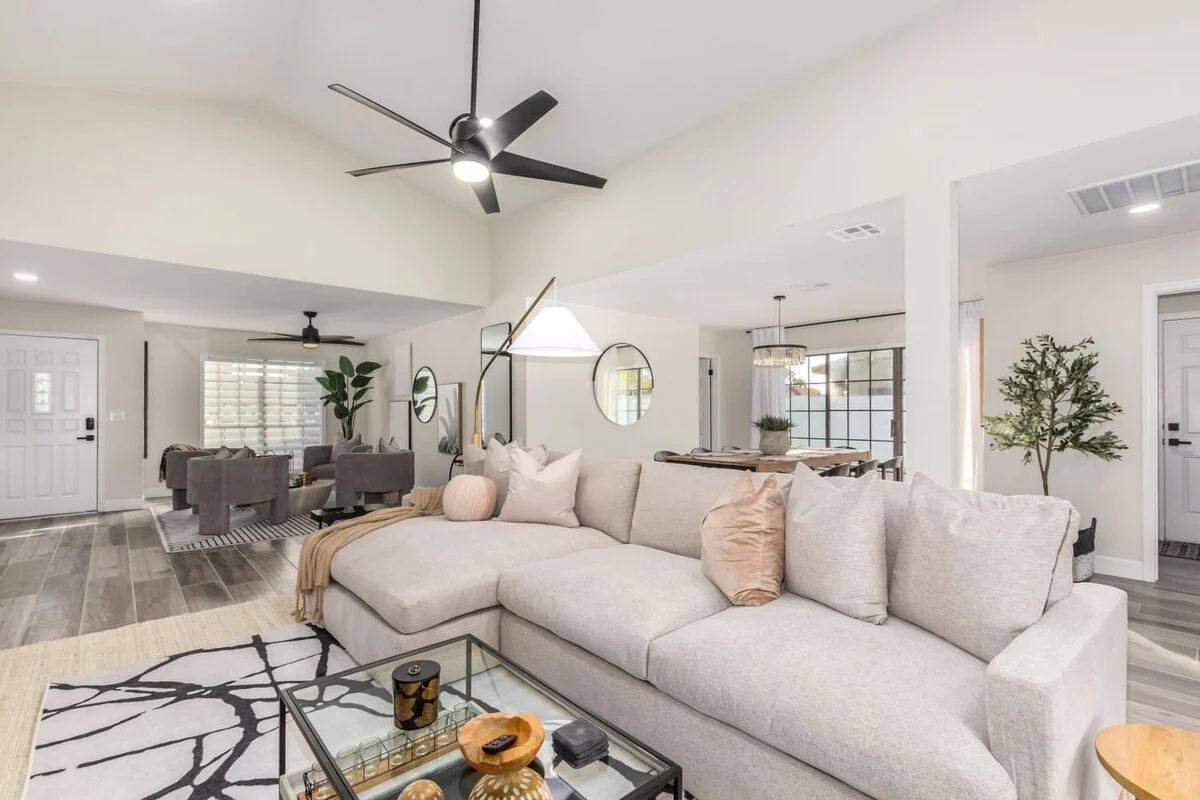 Wander Scottsdale Desert Bloom