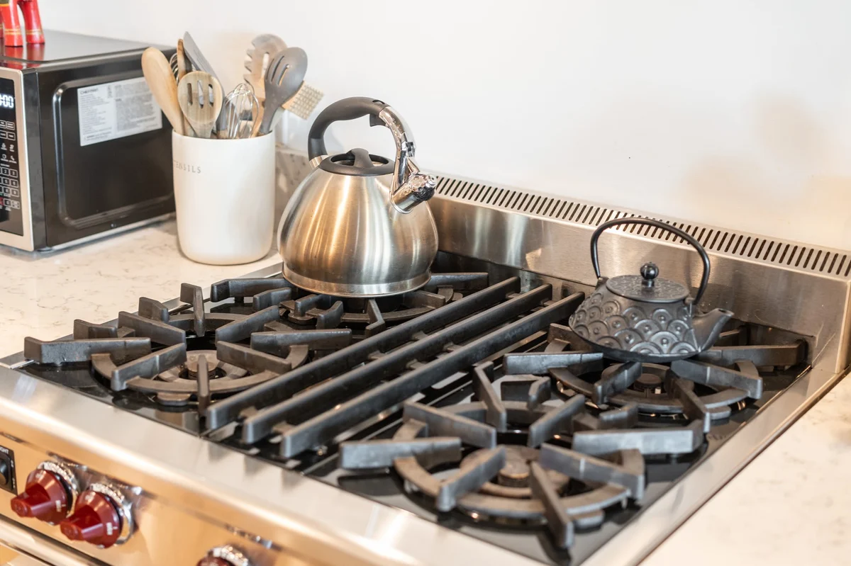 Wander Phoenix Oasis #58