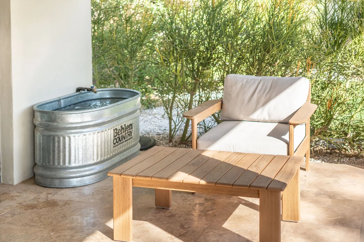 Wander Phoenix Oasis #32