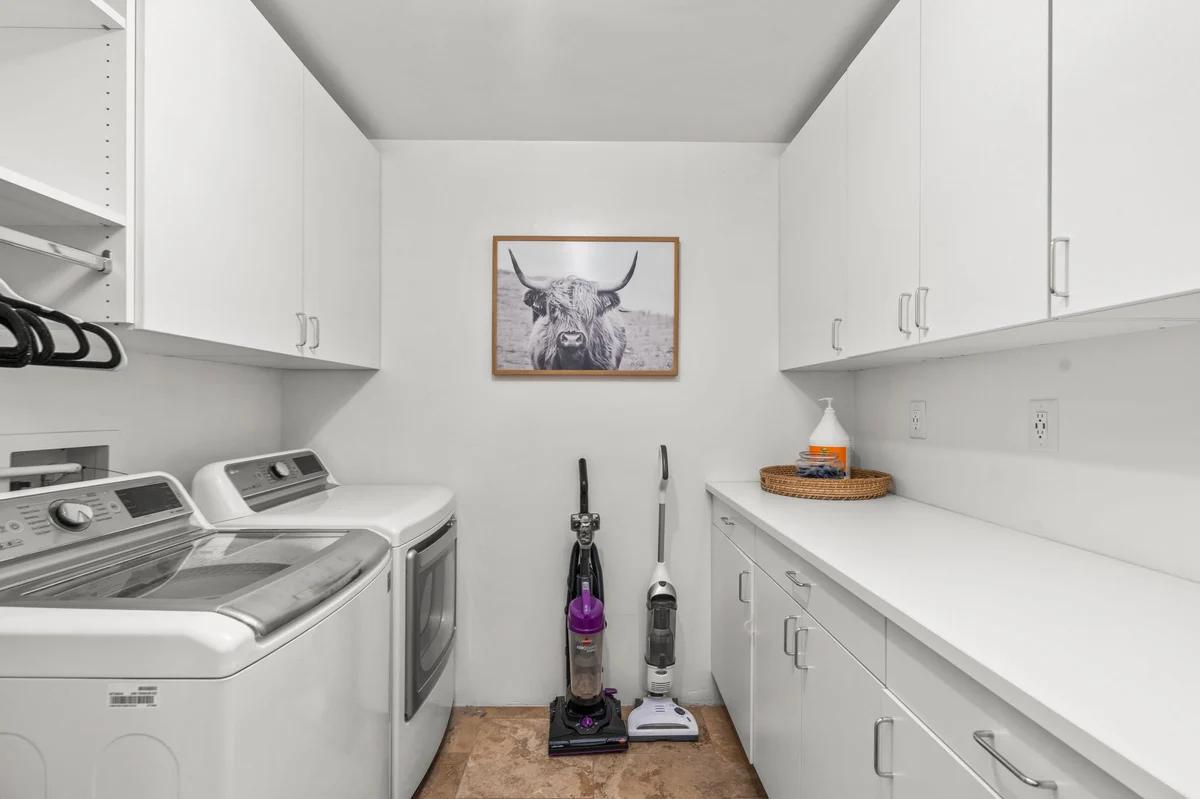 Wander Phoenix Oasis #40