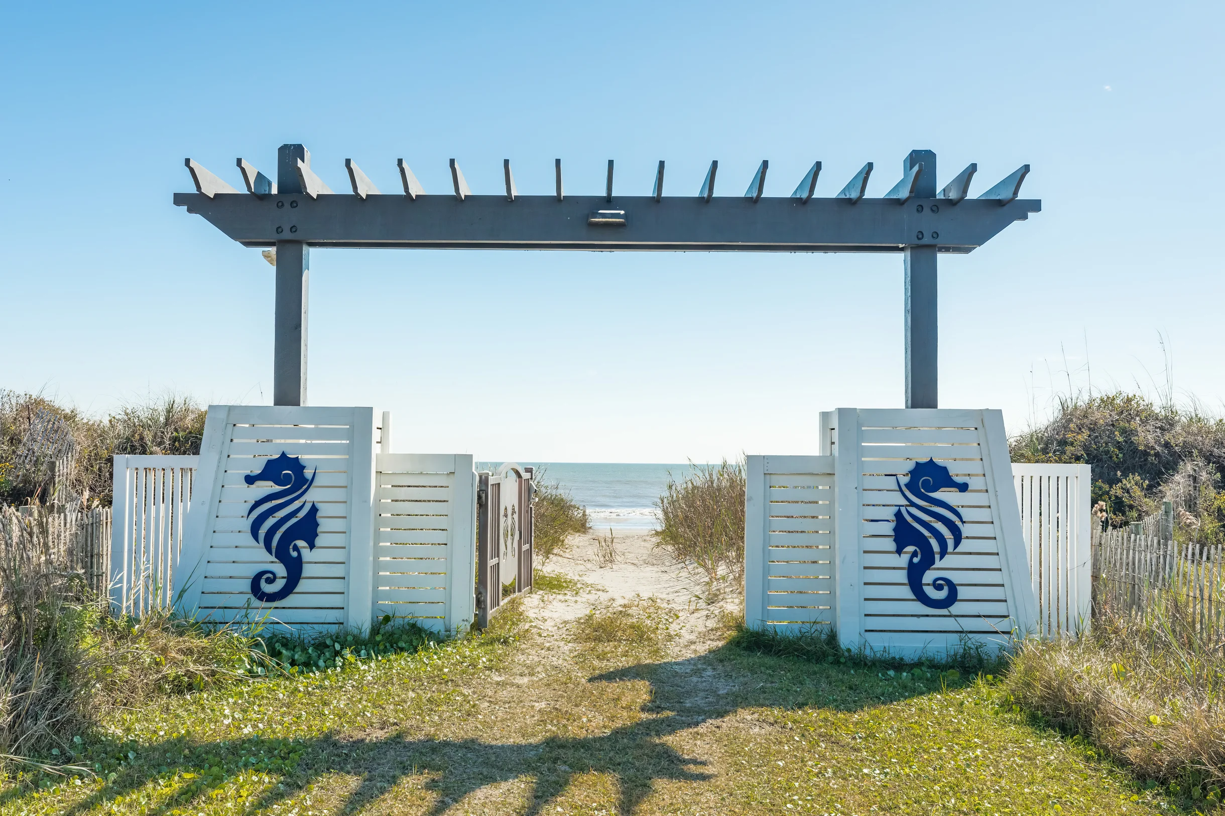 Wander Crystal Beach Coast #40