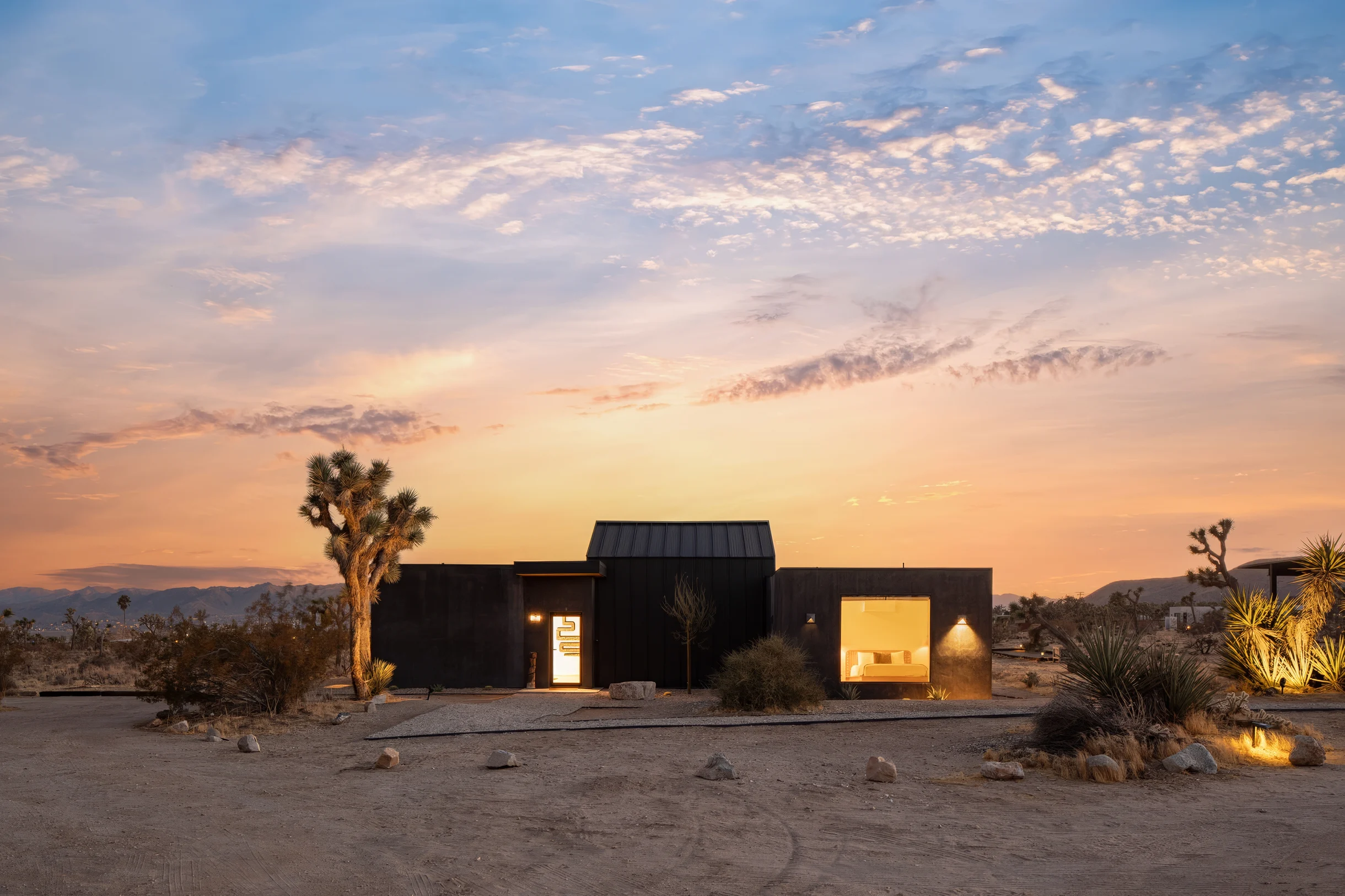 Wander Yucca Valley Moasis #5