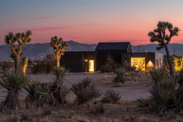 Wander Yucca Valley Moasis #4