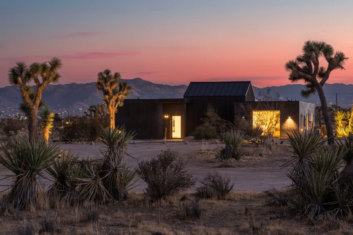 Wander Yucca Valley Moasis #1