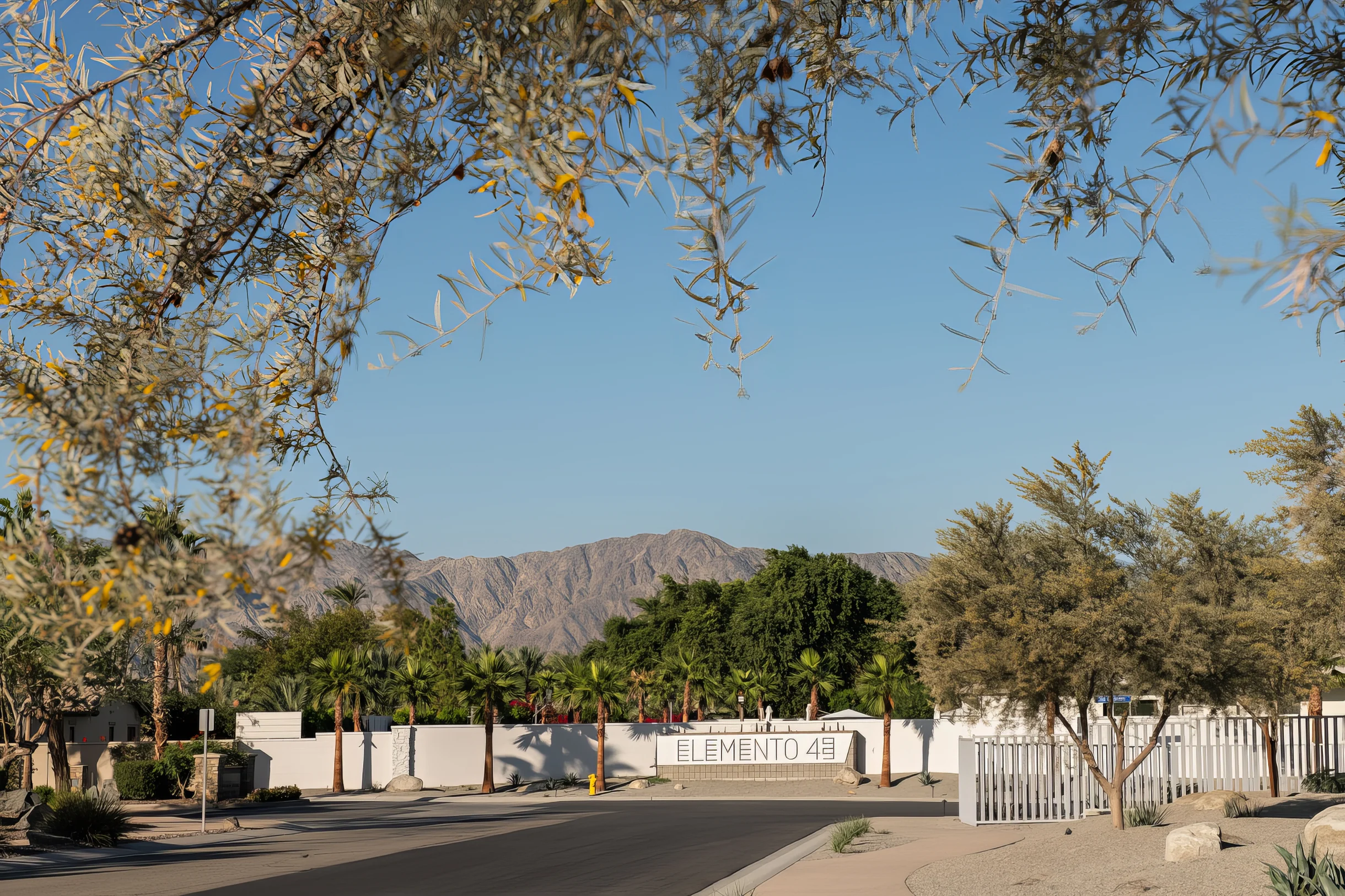 Wander Indio Oxygen #35