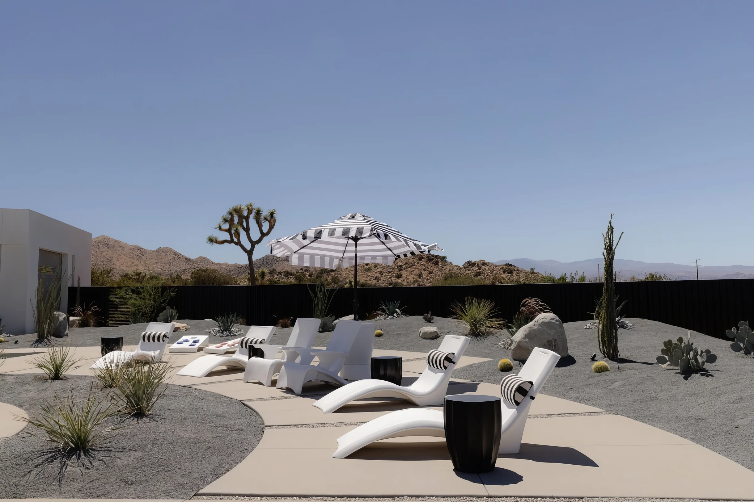 Wander Yucca Valley Orchid #45