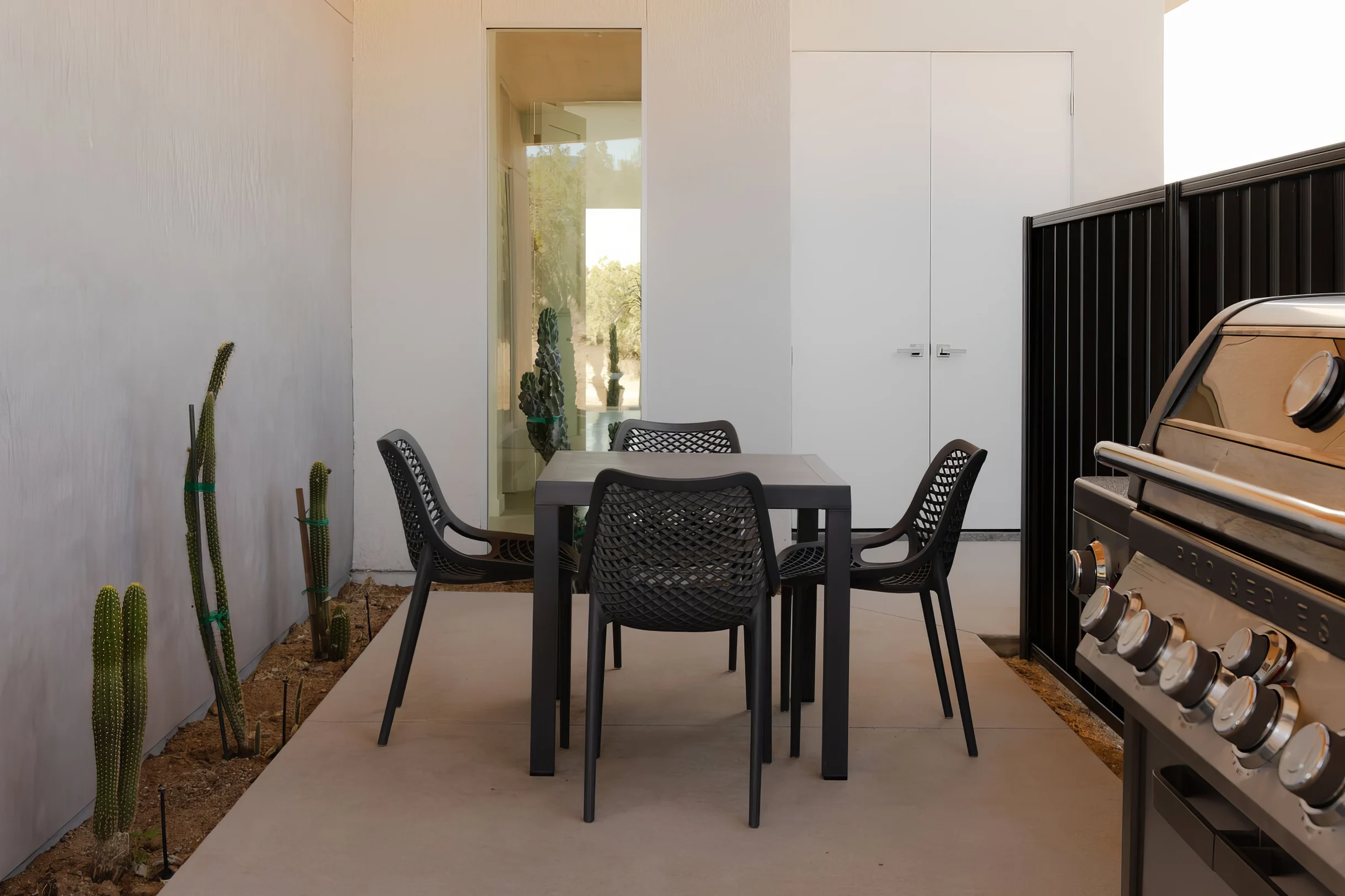 Wander Yucca Valley Orchid #55