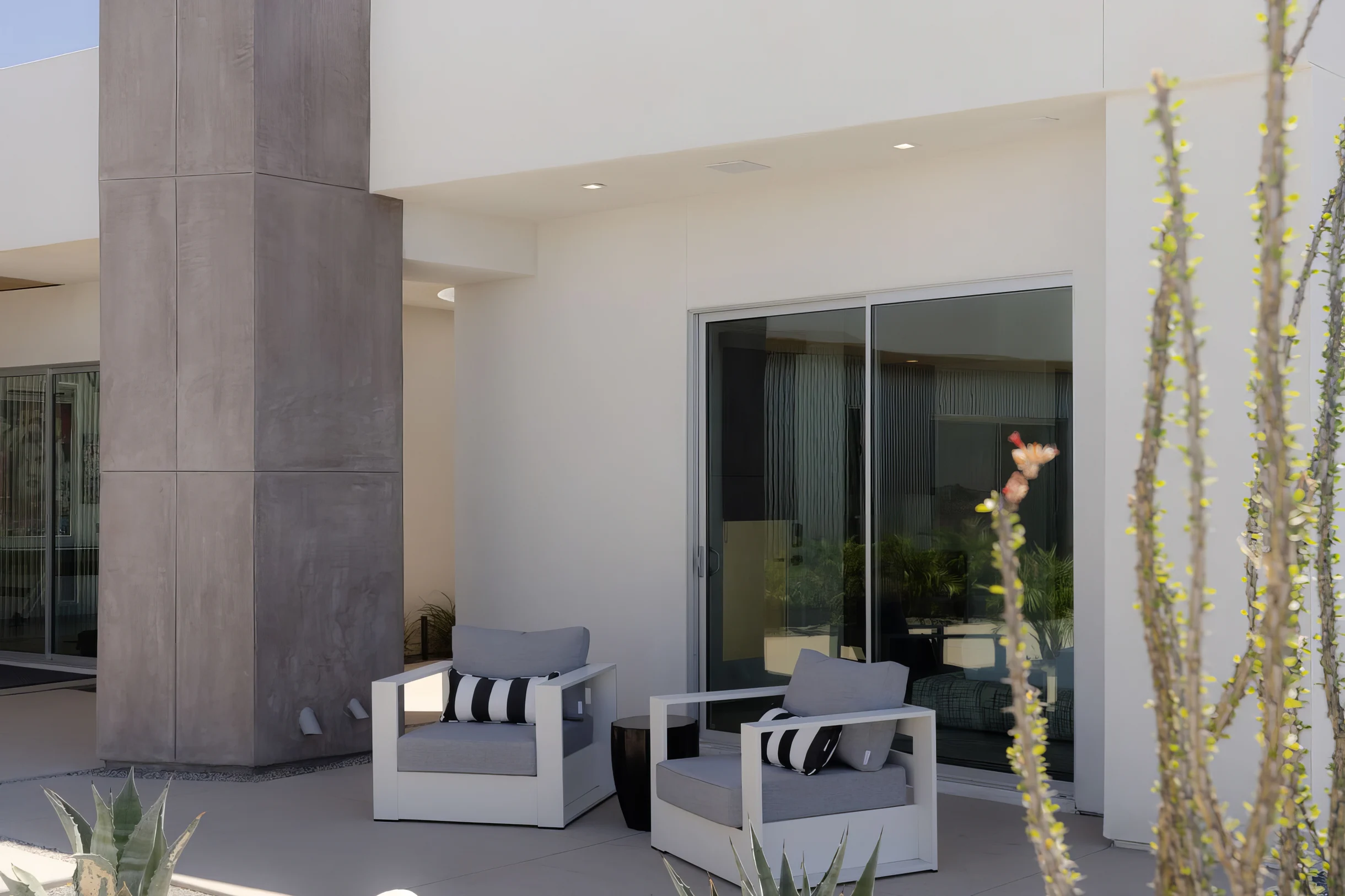 Wander Yucca Valley Orchid #54