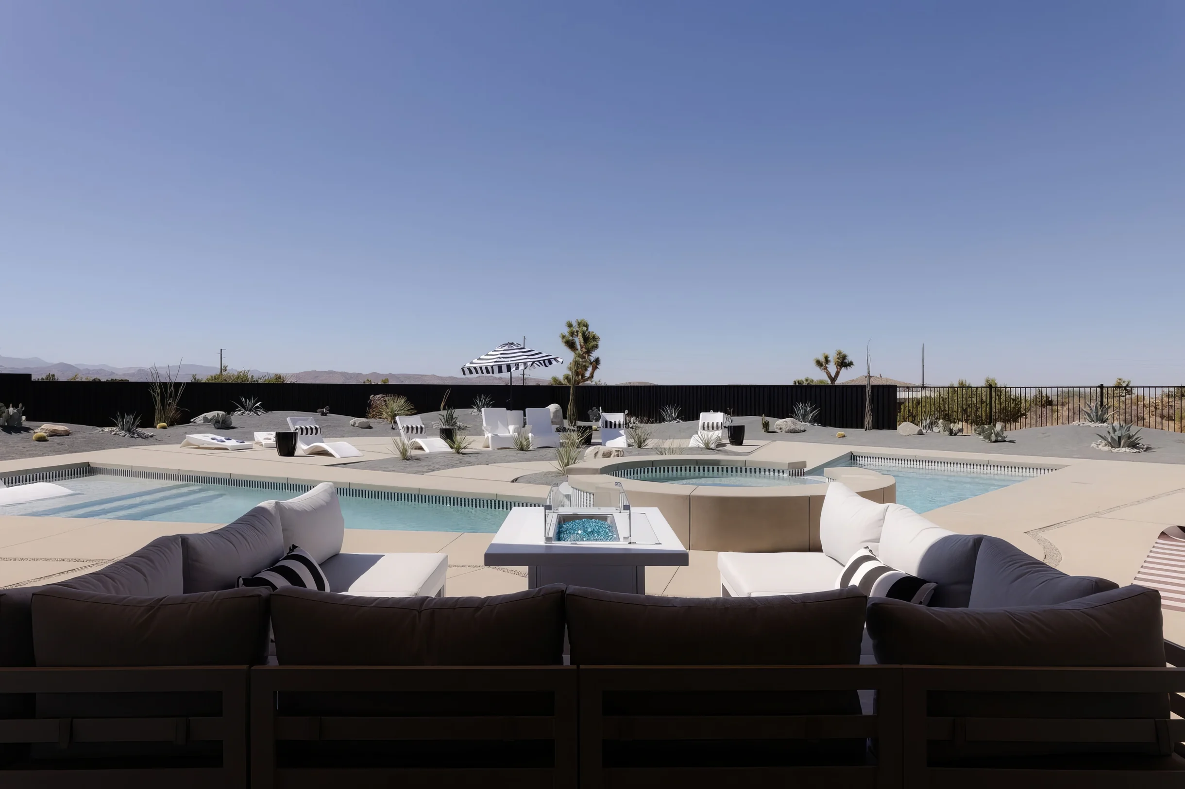 Wander Yucca Valley Orchid #37