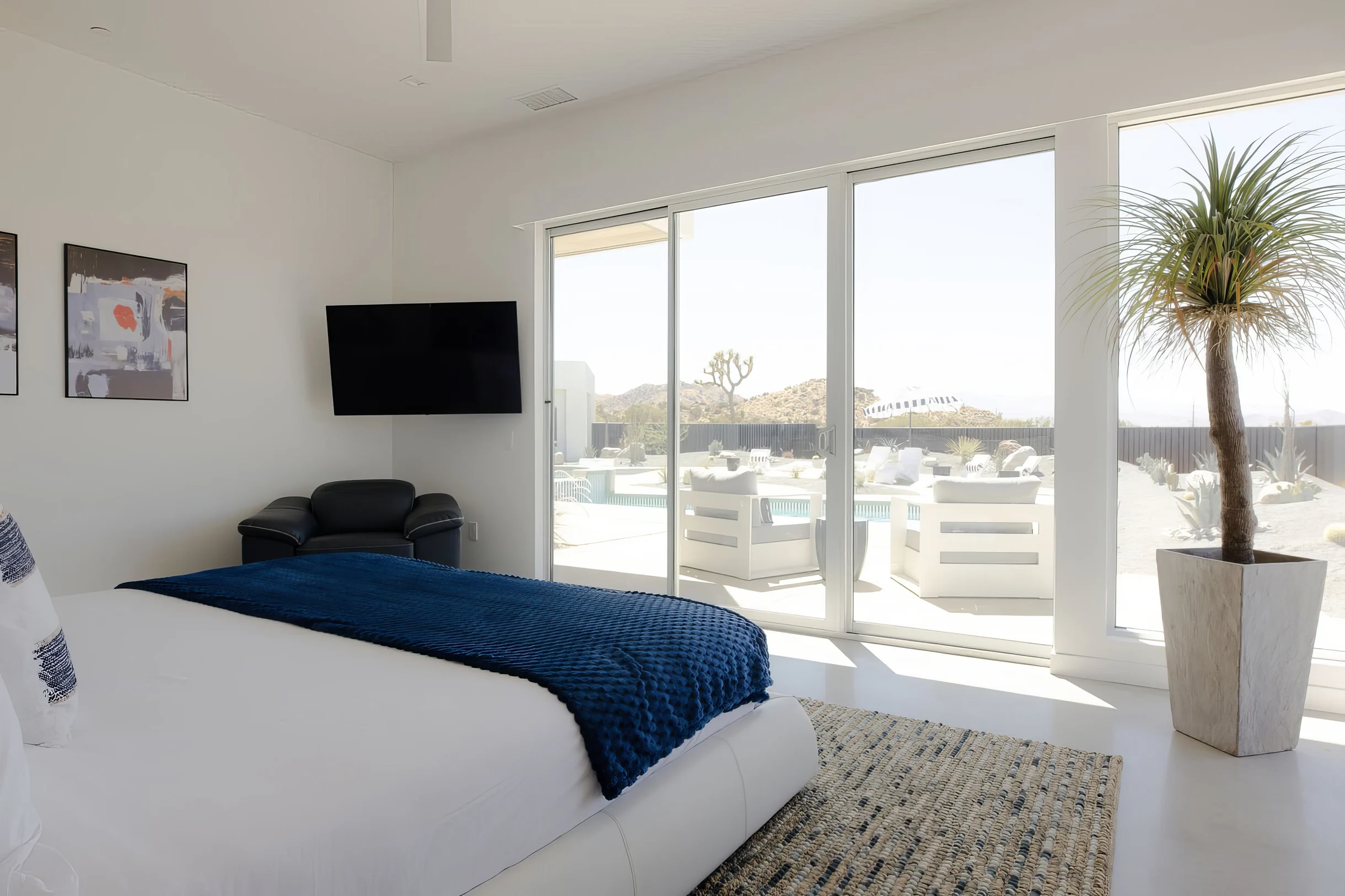 Wander Yucca Valley Orchid #26