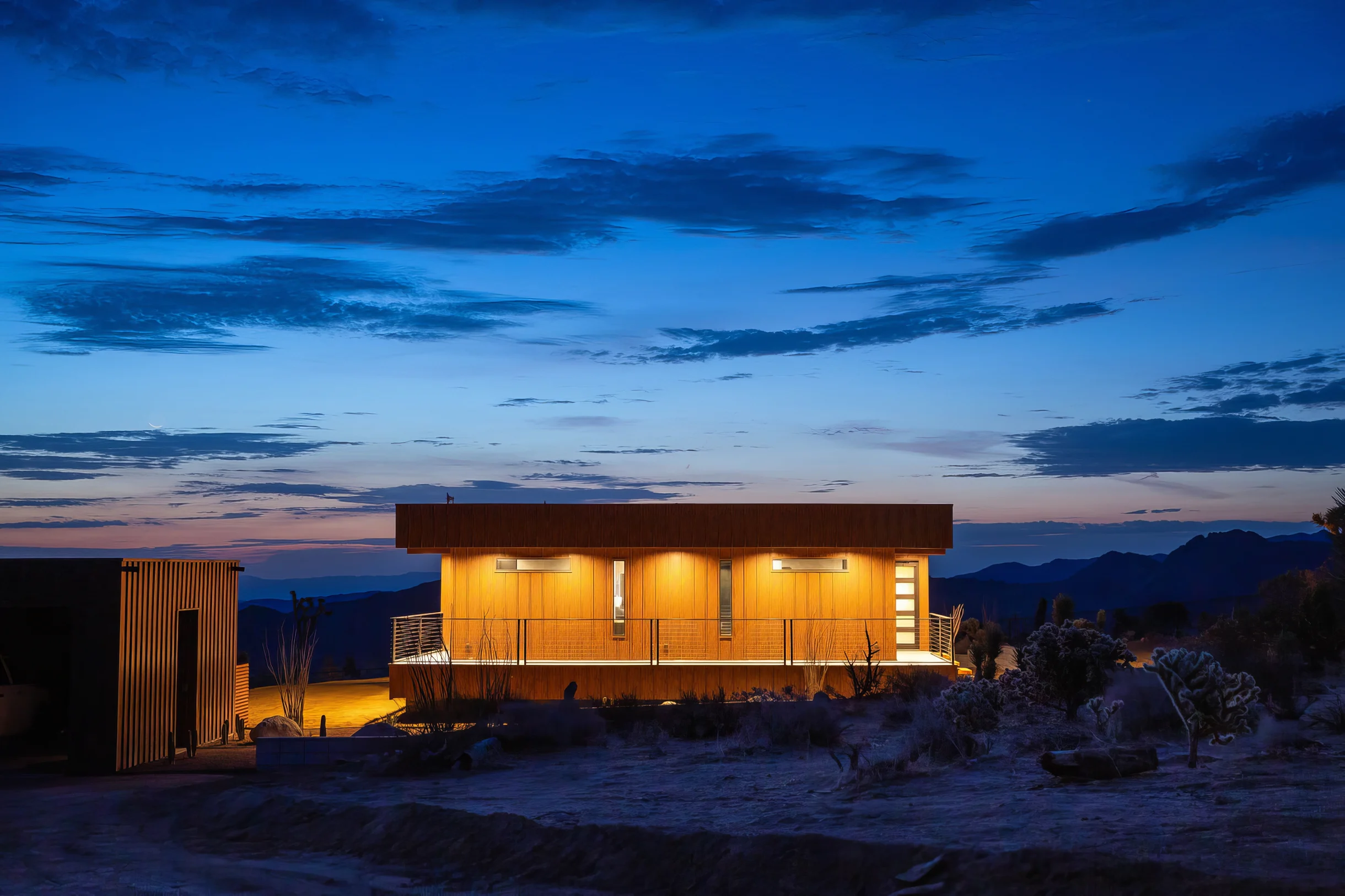 Wander Joshua Tree Serene #4