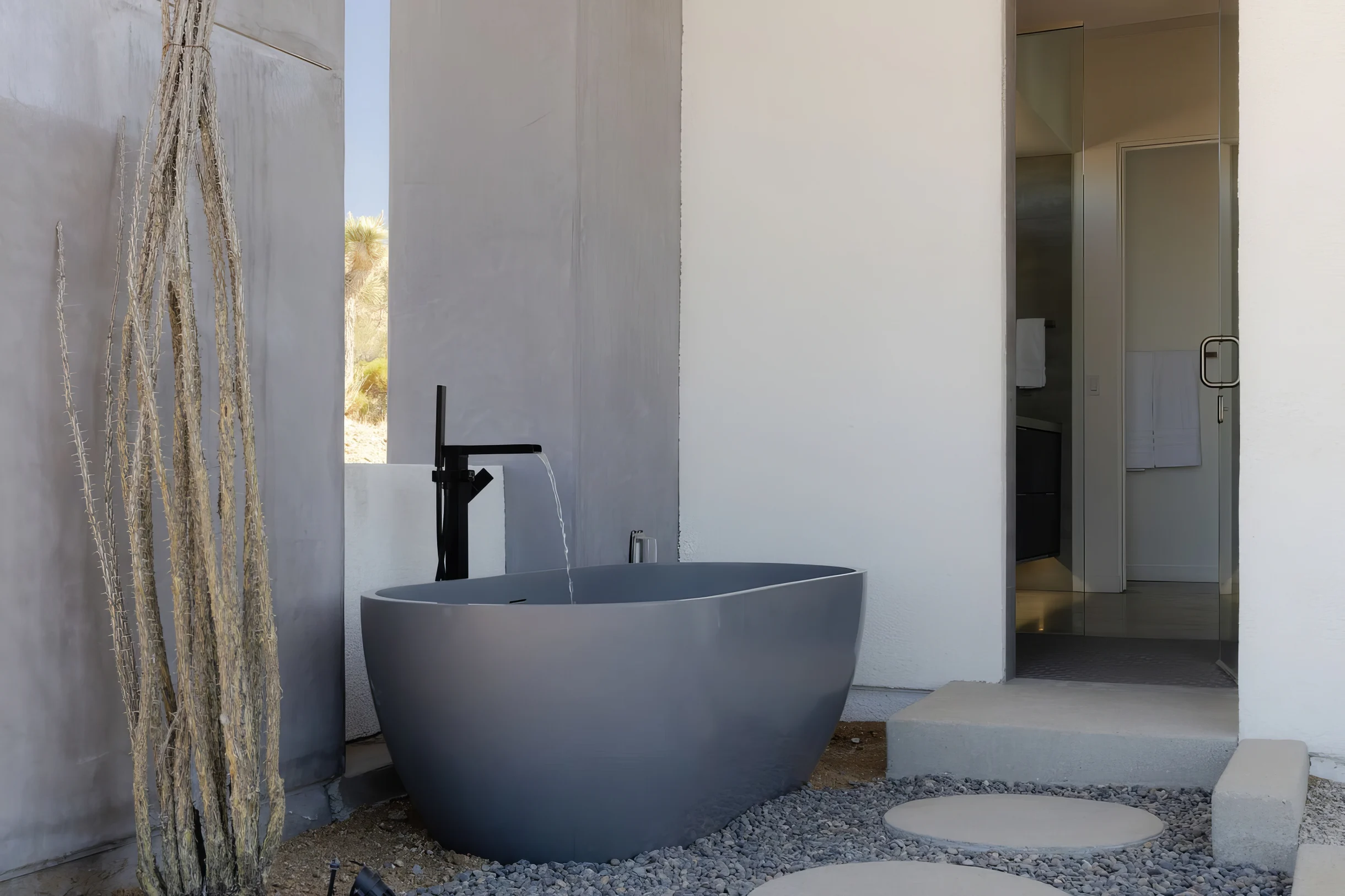 Wander Yucca Valley Orchid #43