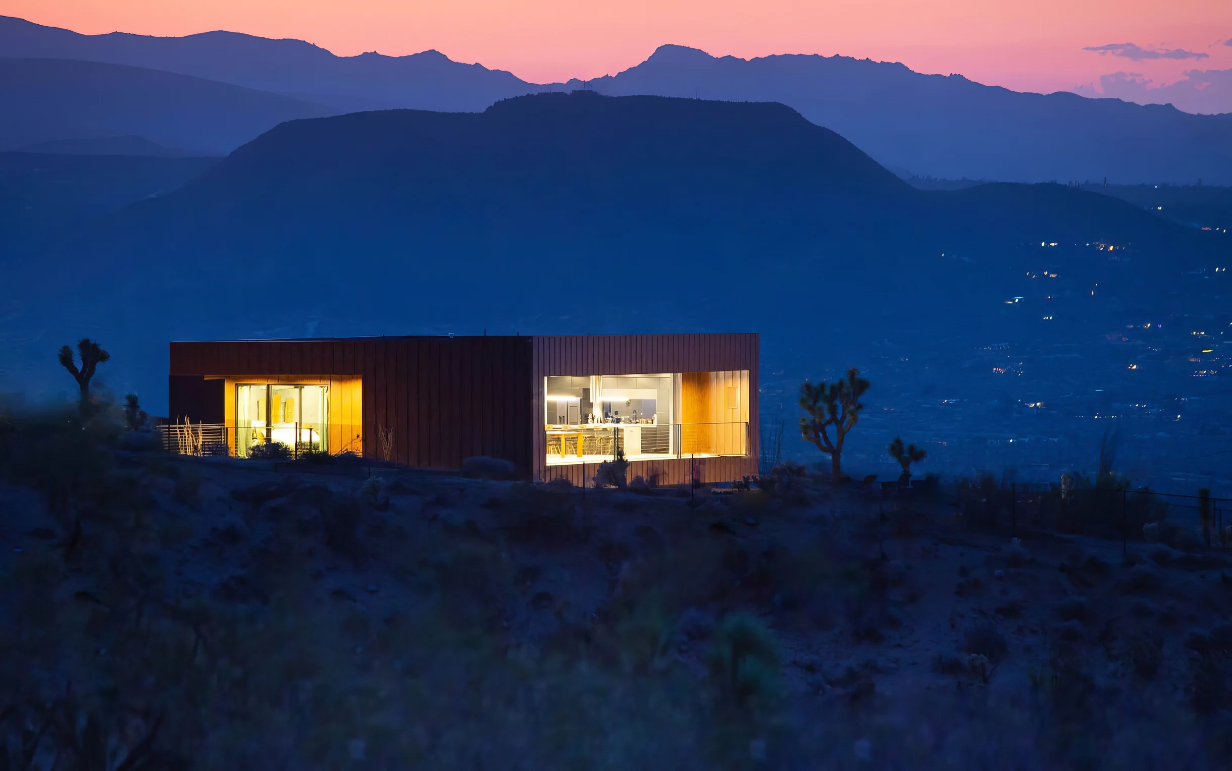 Wander Joshua Tree Serene #5