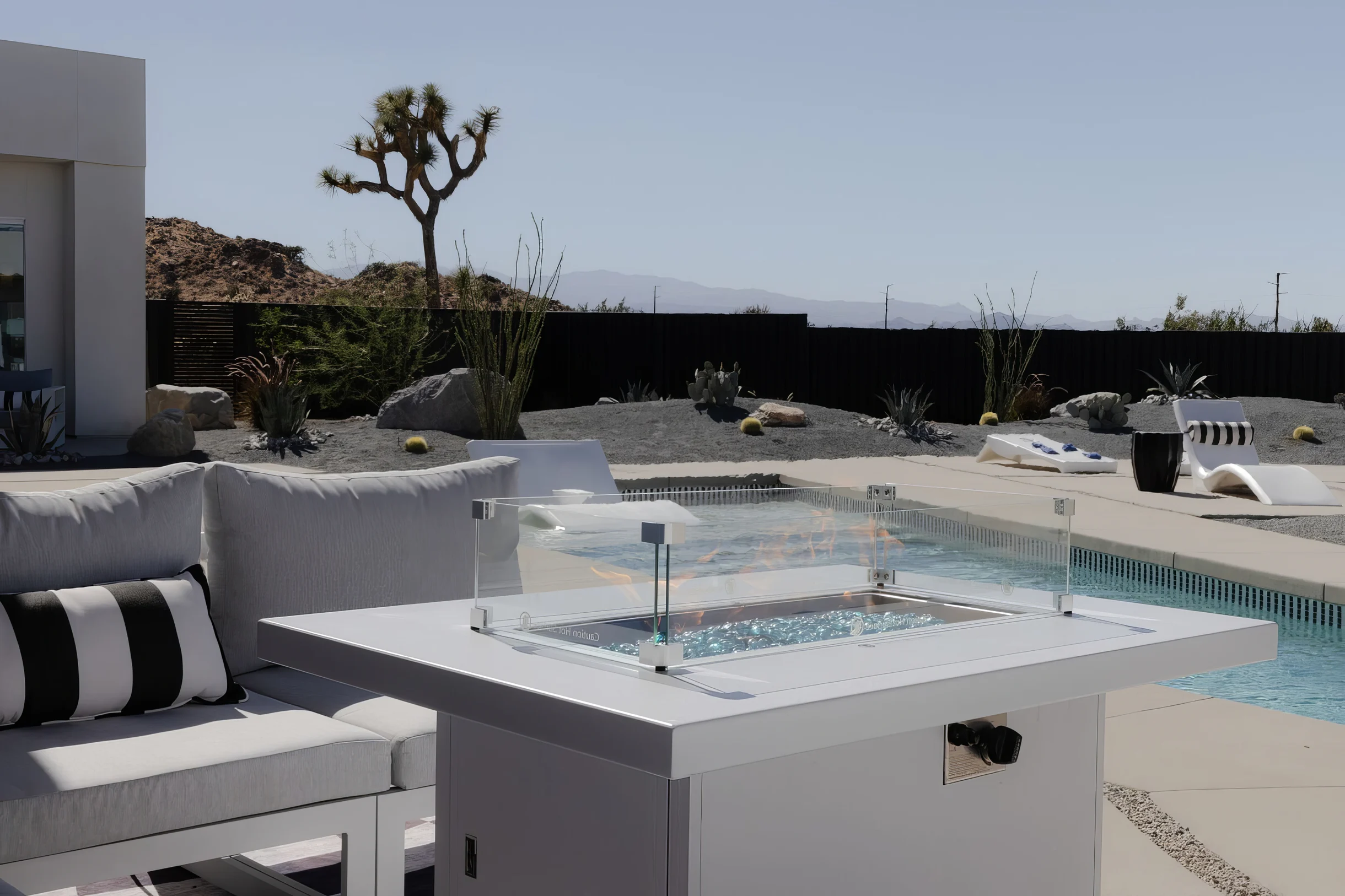 Wander Yucca Valley Orchid #16