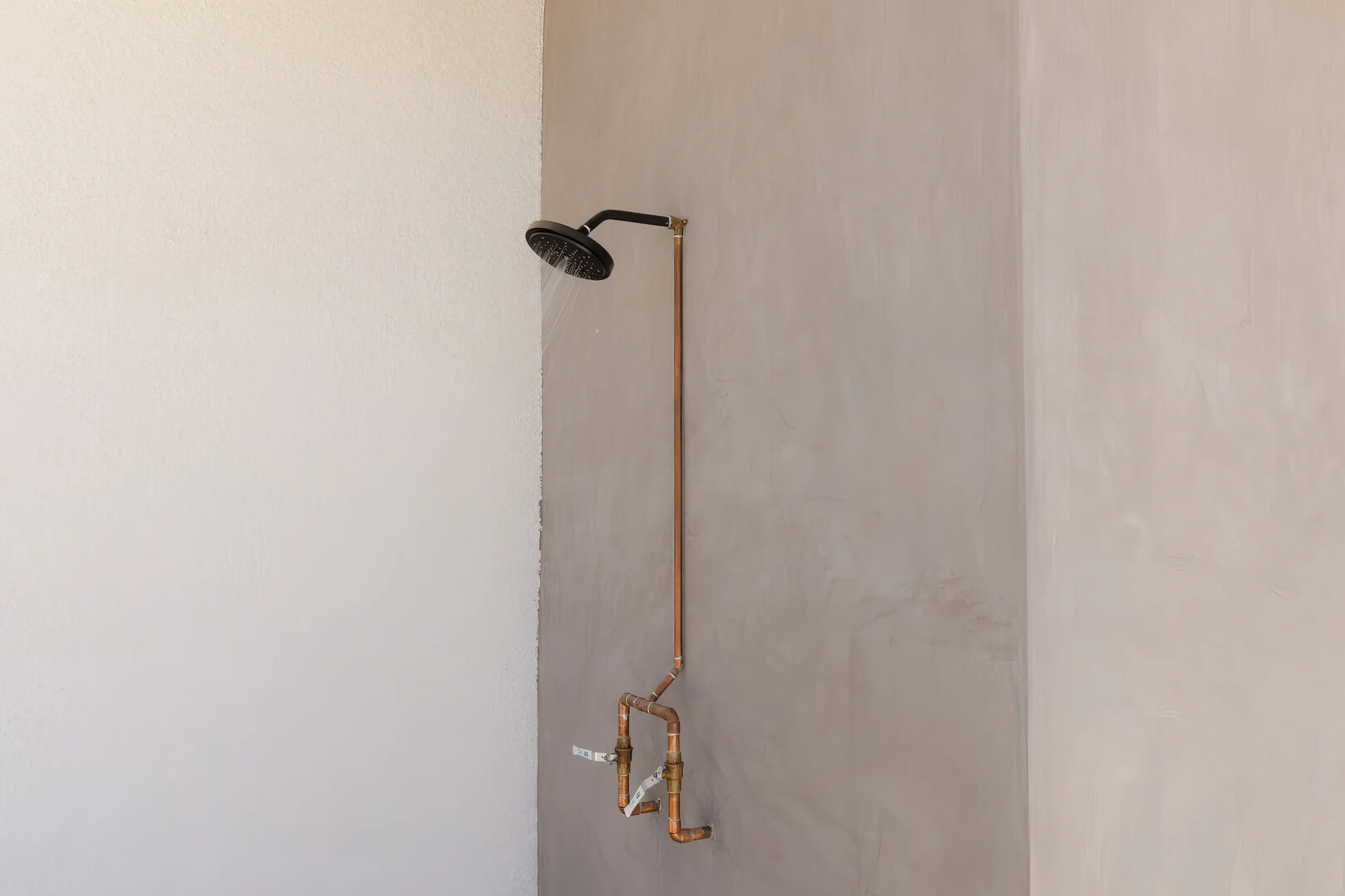 Wander Yucca Valley Orchid #44