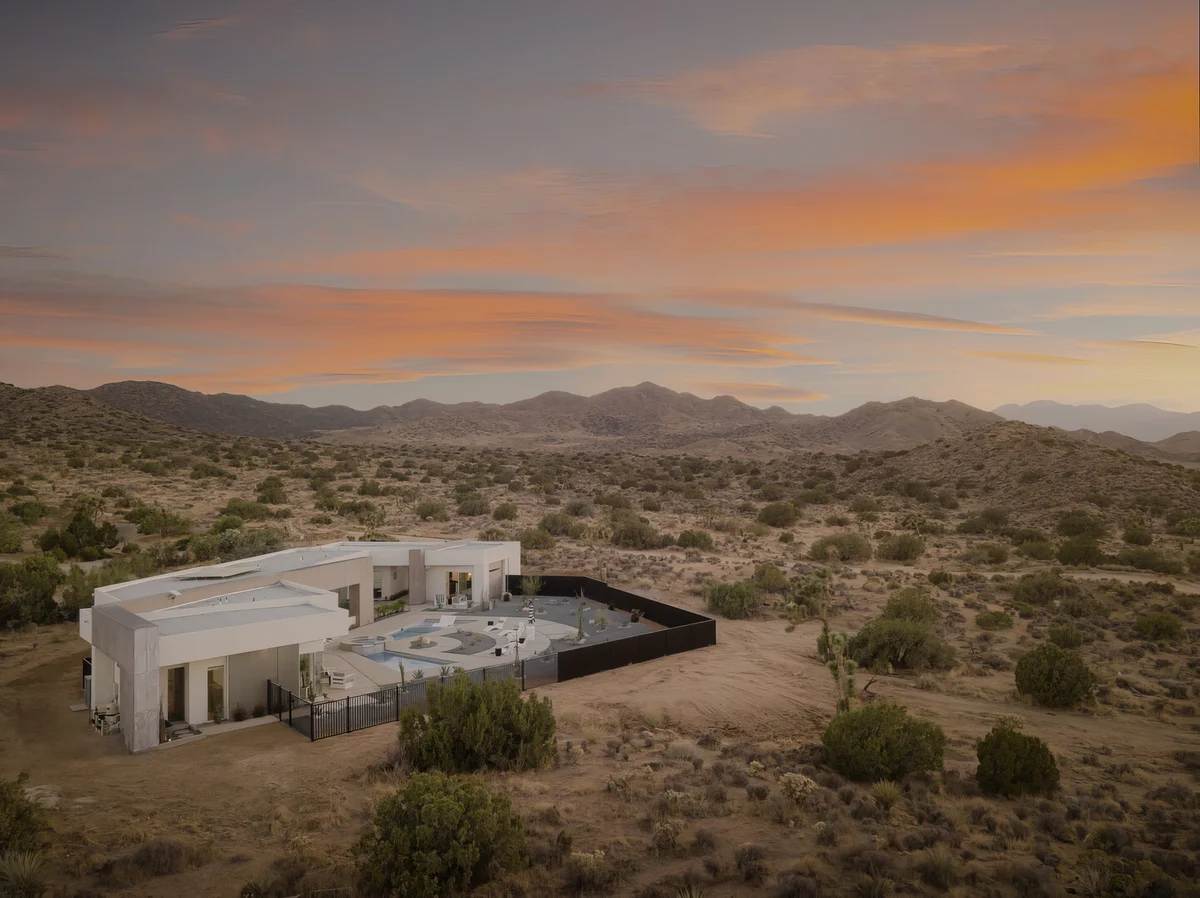 Wander Yucca Valley Orchid #1