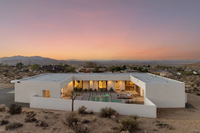 Wander Joshua Tree Dawn #5