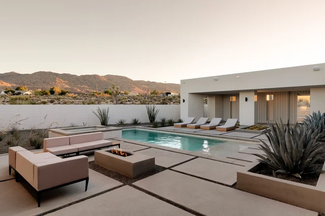 Wander Joshua Tree Dawn #2