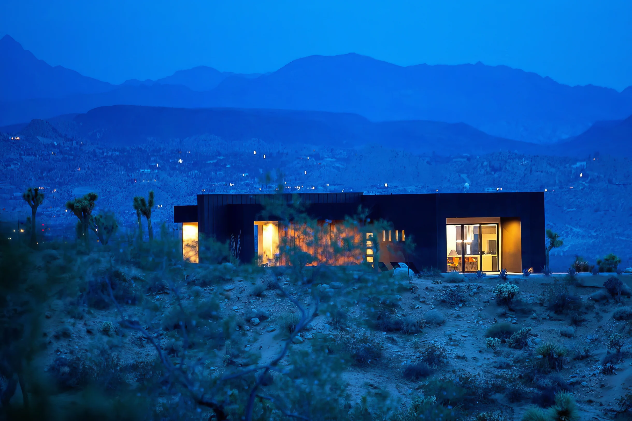 Wander Joshua Tree Coza #4