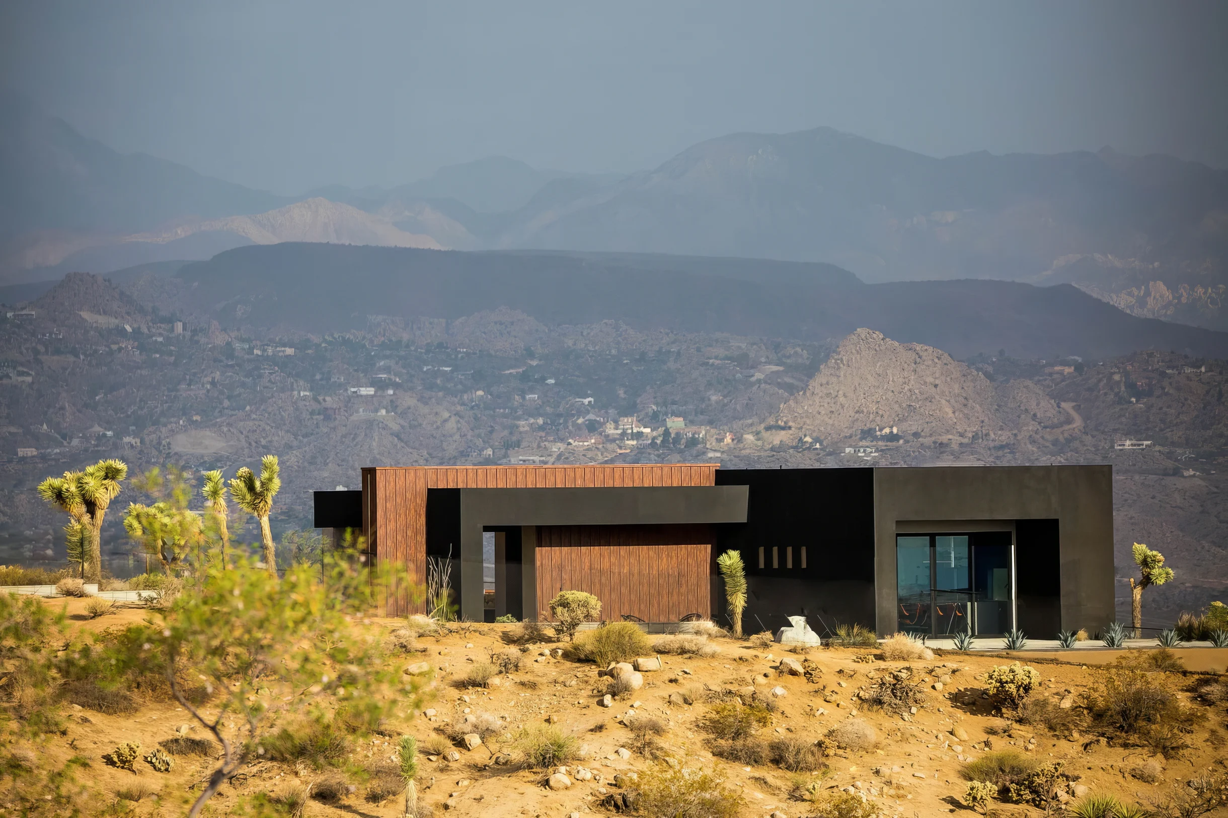 Wander Joshua Tree Coza #5