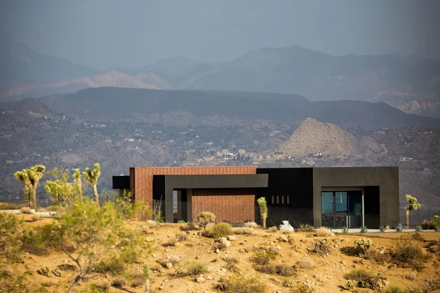 Wander Joshua Tree Coza #5