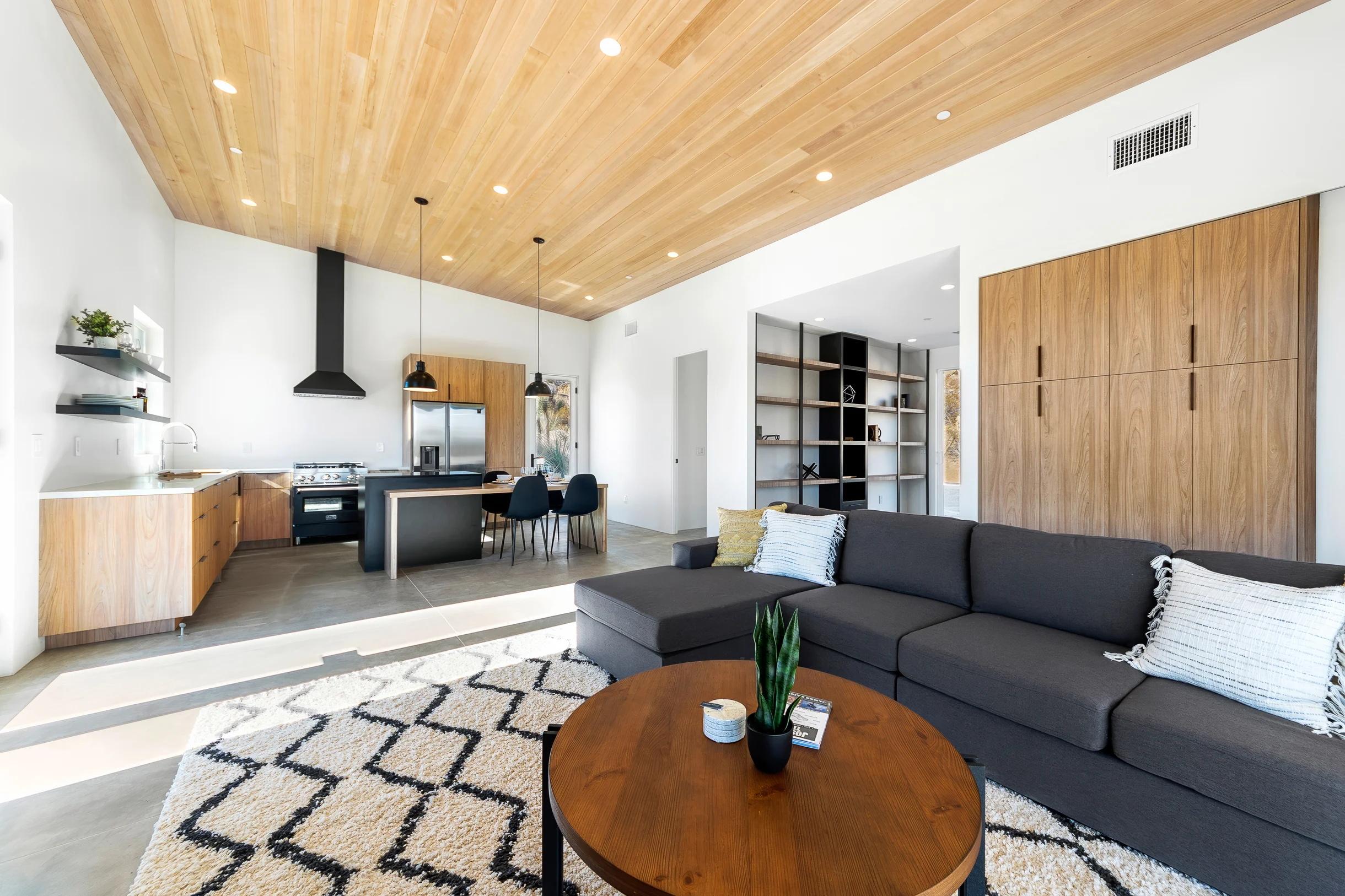 Wander Yucca Valley Desert #27