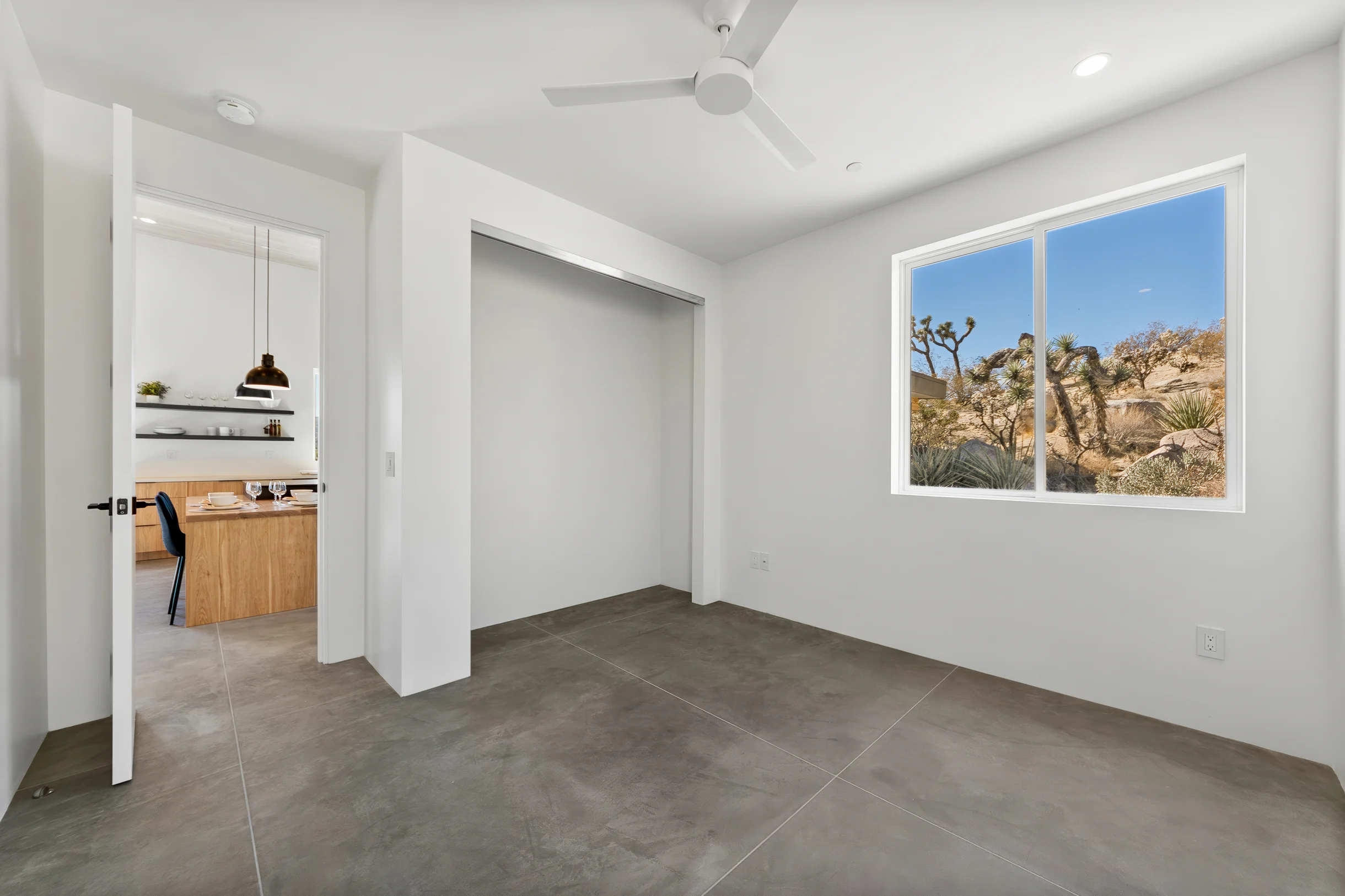 Wander Yucca Valley Desert #14