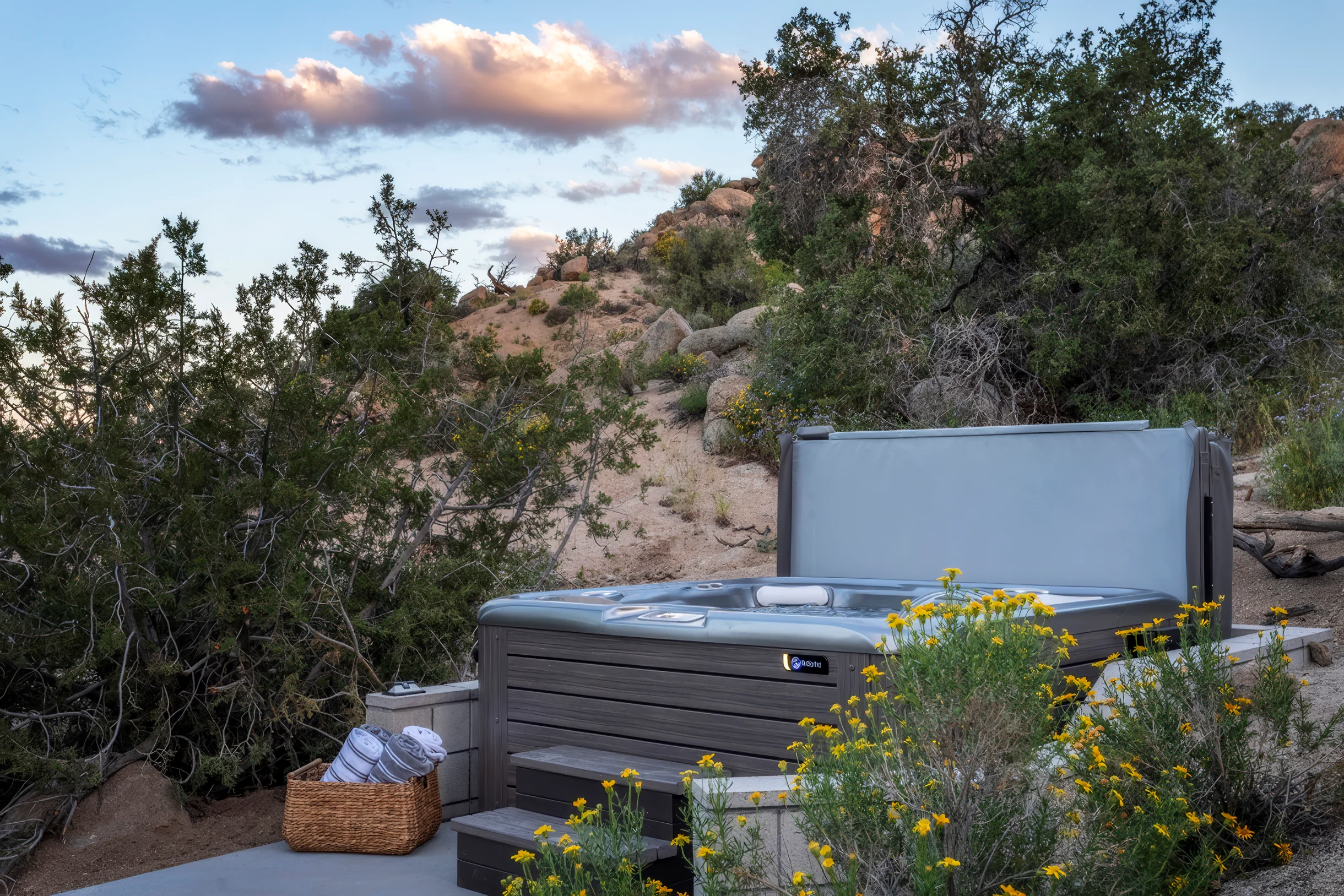 Wander Yucca Valley Boulders #32