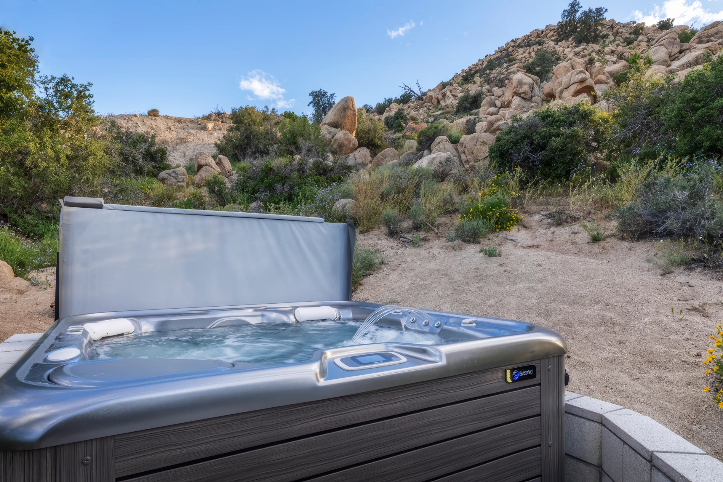 Wander Yucca Valley Boulders #43